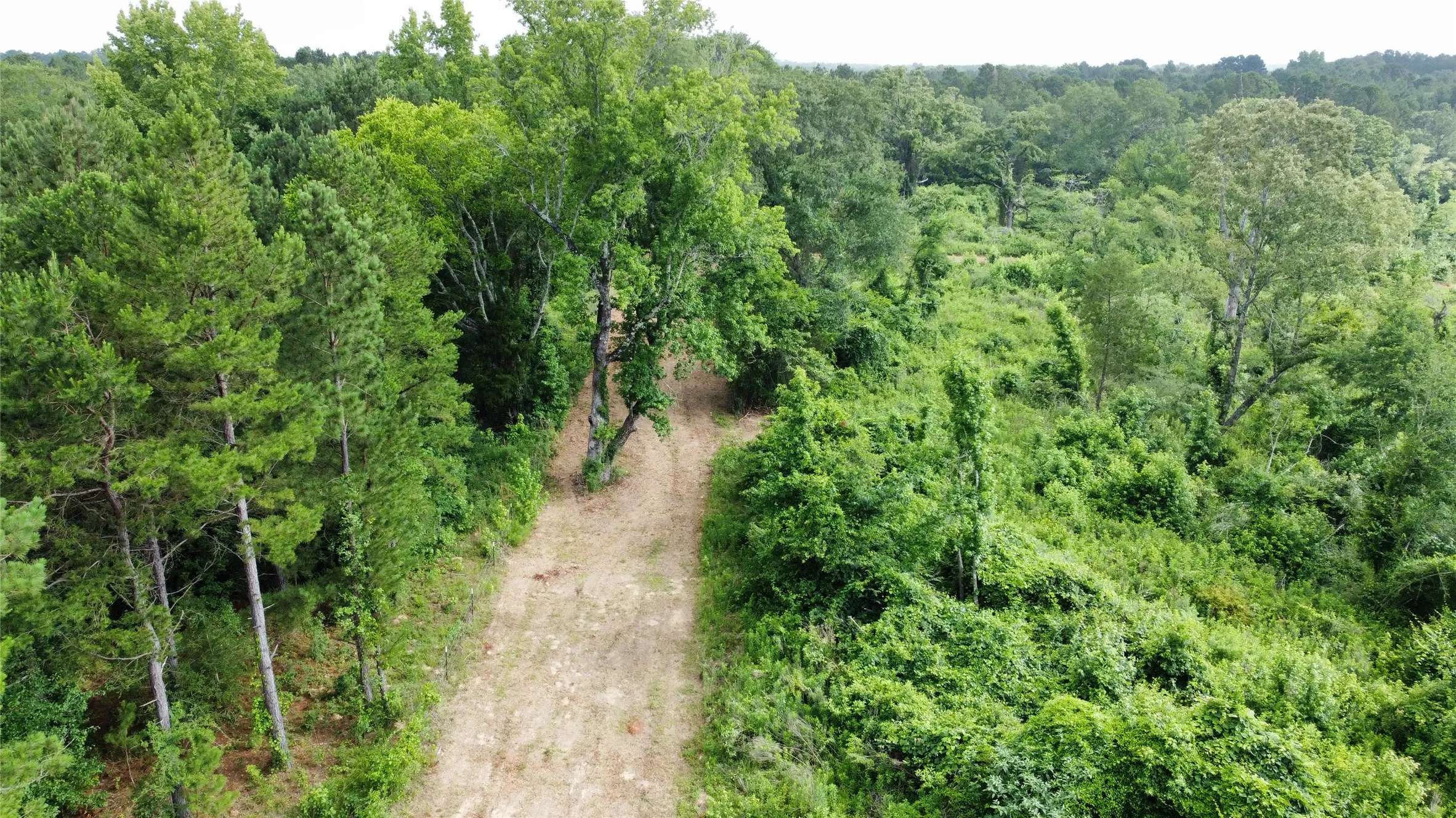 Unimproved Land For Sale in Smith County , TBD County Road 385, Tyler, Texas 75708, 0, 0, Garage spaces, 0 Sqft, built in 0, mls#21298372, Real Estate Agent in Tyler, Homes For Sale in Smith county, Homes For Sale in Tyler, Realtor in Tyler Texas, Real Estate Brokerage Independent Realty Texas, Luminita Cordes Realtor