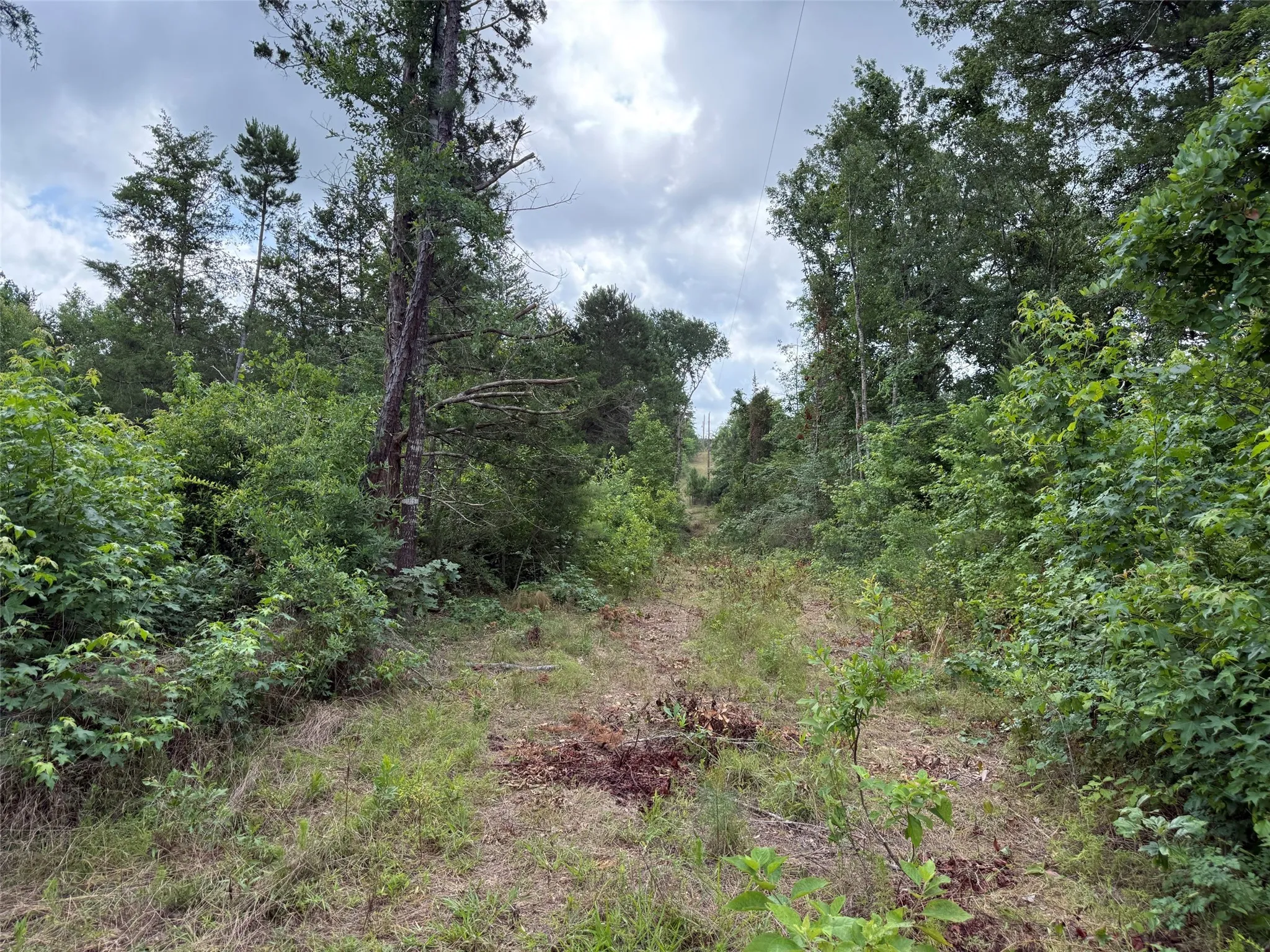 Unimproved Land For Sale in Smith County , TBD County Road 385, Tyler, Texas 75708, 0, 0, Garage spaces, 0 Sqft, built in 0, mls#21298372, Real Estate Agent in Tyler, Homes For Sale in Smith county, Homes For Sale in Tyler, Realtor in Tyler Texas, Real Estate Brokerage Independent Realty Texas, Luminita Cordes Realtor