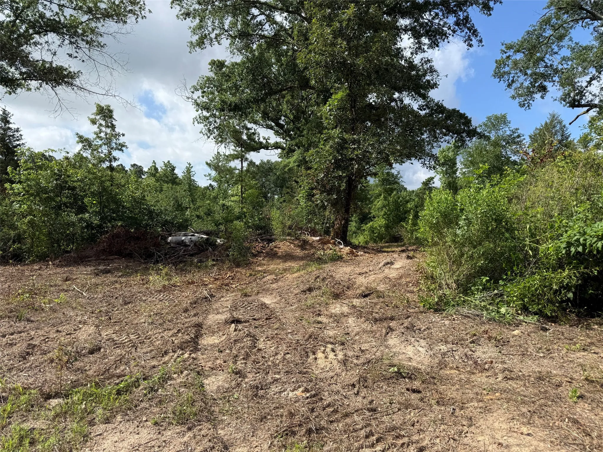 Unimproved Land For Sale in Smith County , TBD County Road 385, Tyler, Texas 75708, 0, 0, Garage spaces, 0 Sqft, built in 0, mls#21298372, Real Estate Agent in Tyler, Homes For Sale in Smith county, Homes For Sale in Tyler, Realtor in Tyler Texas, Real Estate Brokerage Independent Realty Texas, Luminita Cordes Realtor