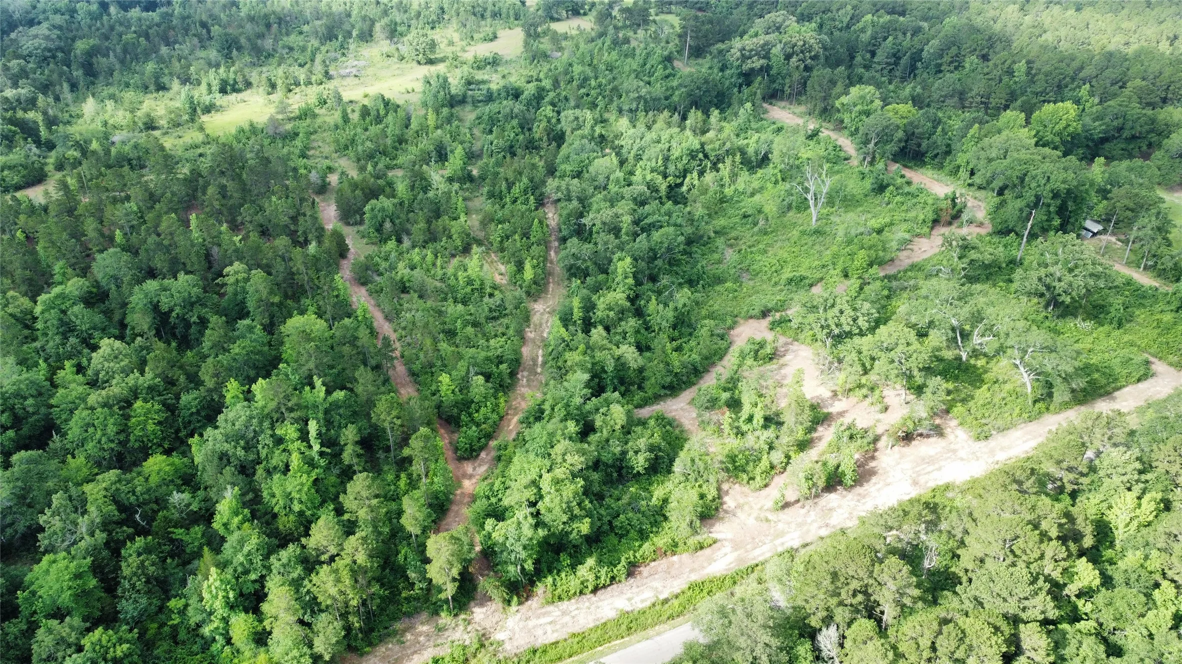 Unimproved Land For Sale in Smith County , TBD County Road 385, Tyler, Texas 75708, 0, 0, Garage spaces, 0 Sqft, built in 0, mls#21298372, Real Estate Agent in Tyler, Homes For Sale in Smith county, Homes For Sale in Tyler, Realtor in Tyler Texas, Real Estate Brokerage Independent Realty Texas, Luminita Cordes Realtor