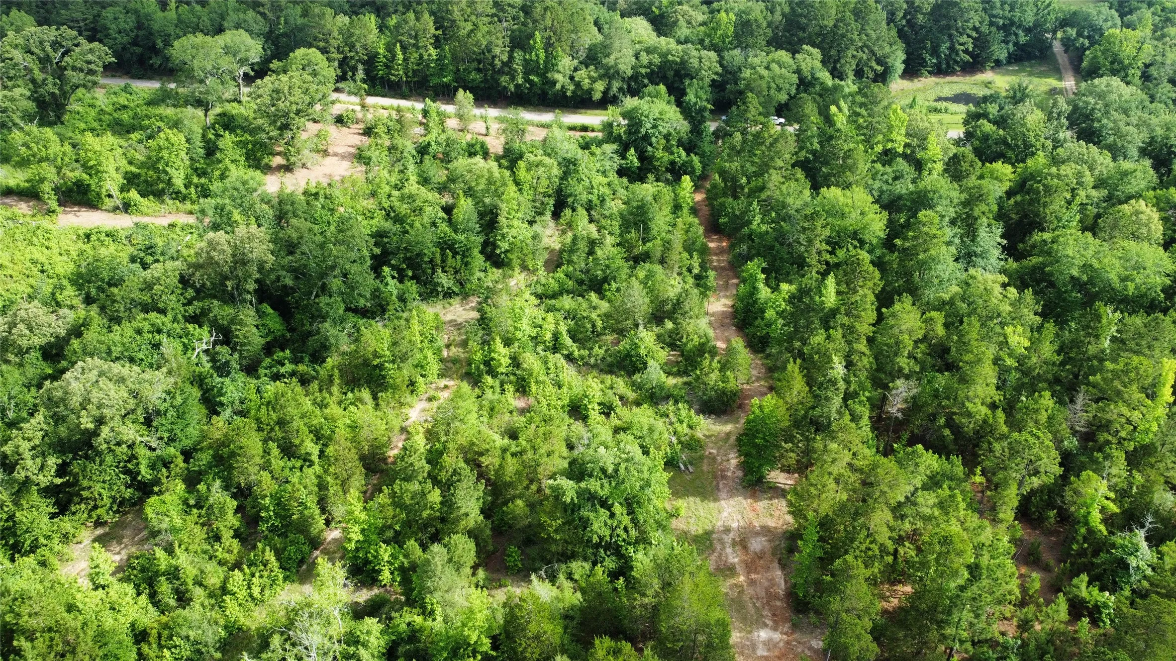 Unimproved Land For Sale in Smith County , TBD County Road 385, Tyler, Texas 75708, 0, 0, Garage spaces, 0 Sqft, built in 0, mls#21298372, Real Estate Agent in Tyler, Homes For Sale in Smith county, Homes For Sale in Tyler, Realtor in Tyler Texas, Real Estate Brokerage Independent Realty Texas, Luminita Cordes Realtor