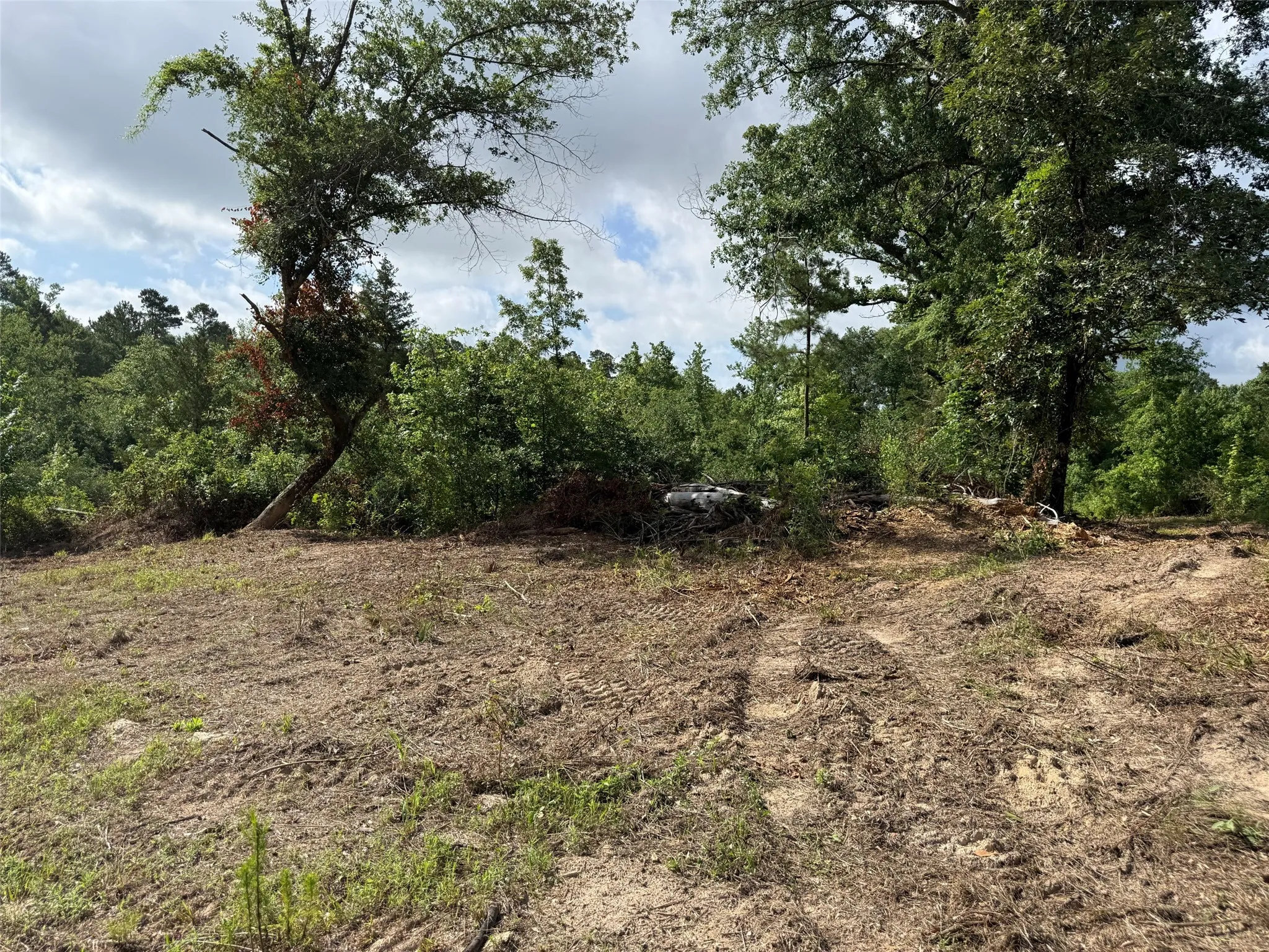 Unimproved Land For Sale in Smith County , TBD County Road 385, Tyler, Texas 75708, 0, 0, Garage spaces, 0 Sqft, built in 0, mls#21298372, Real Estate Agent in Tyler, Homes For Sale in Smith county, Homes For Sale in Tyler, Realtor in Tyler Texas, Real Estate Brokerage Independent Realty Texas, Luminita Cordes Realtor