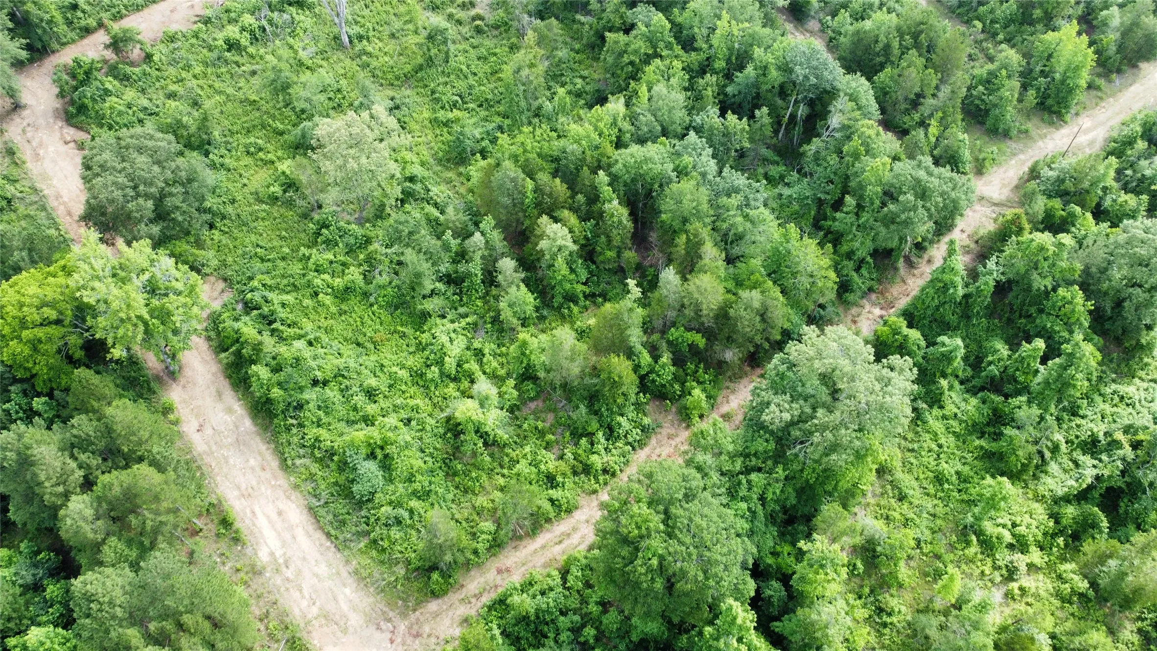 Unimproved Land For Sale in Smith County , TBD County Road 385, Tyler, Texas 75708, 0, 0, Garage spaces, 0 Sqft, built in 0, mls#21298372, Real Estate Agent in Tyler, Homes For Sale in Smith county, Homes For Sale in Tyler, Realtor in Tyler Texas, Real Estate Brokerage Independent Realty Texas, Luminita Cordes Realtor