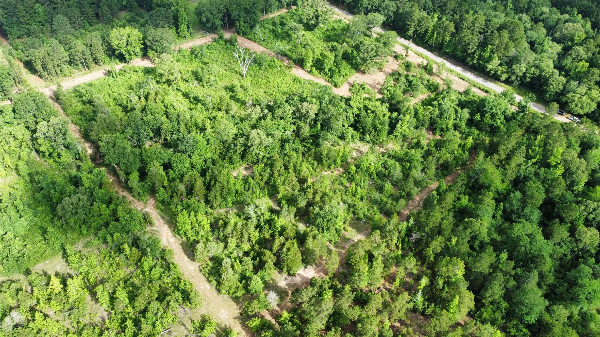 Unimproved Land For Sale in Smith County , TBD County Road 385, Tyler, Texas 75708, 0, 0, Garage spaces, 0 Sqft, built in 0, mls#21298372, Real Estate Agent in Tyler, Homes For Sale in Smith county, Homes For Sale in Tyler, Realtor in Tyler Texas, Real Estate Brokerage Independent Realty Texas, Luminita Cordes Realtor