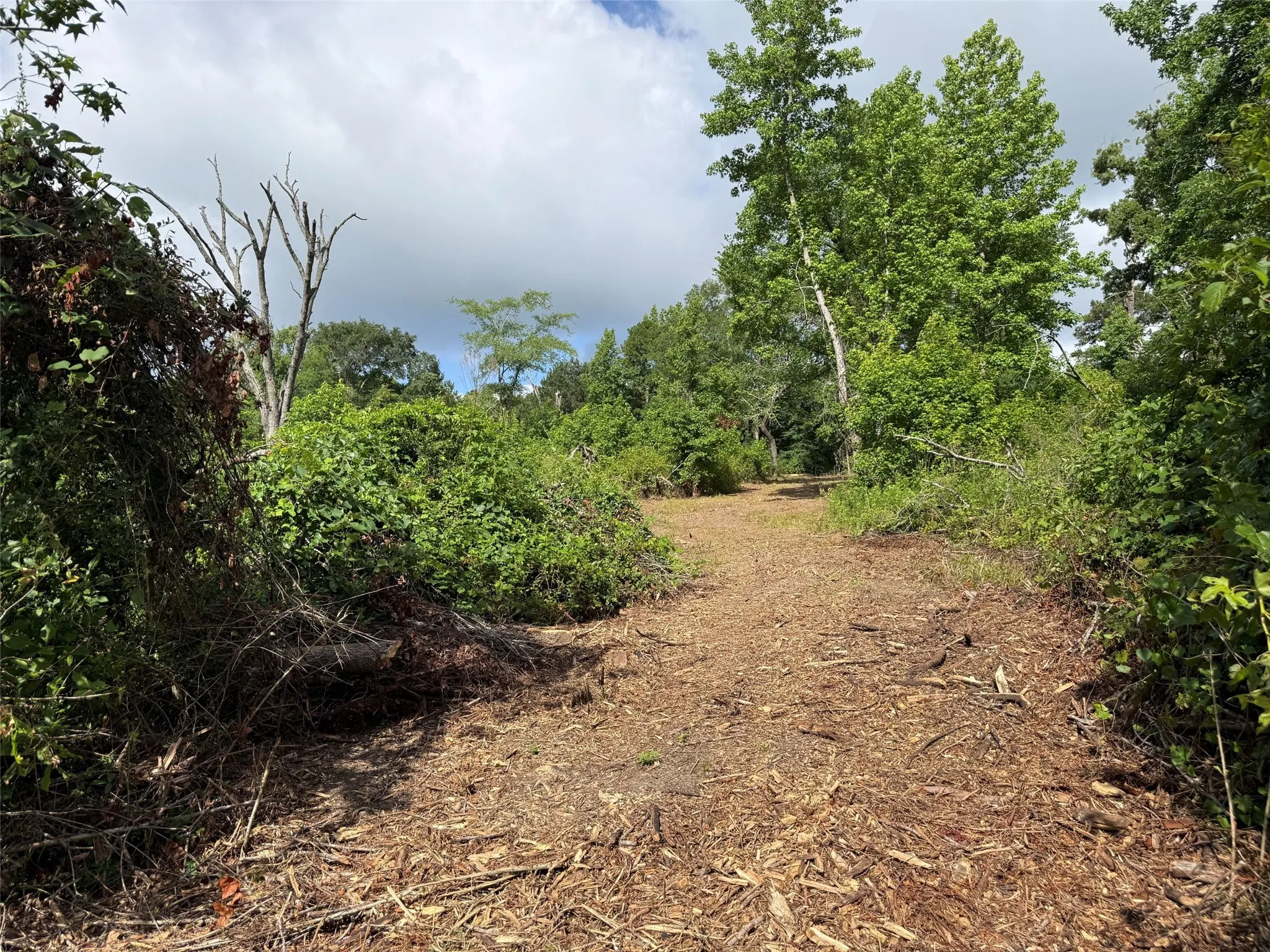 Unimproved Land For Sale in Smith County , TBD County Road 385, Tyler, Texas 75708, 0, 0, Garage spaces, 0 Sqft, built in 0, mls#21298372, Real Estate Agent in Tyler, Homes For Sale in Smith county, Homes For Sale in Tyler, Realtor in Tyler Texas, Real Estate Brokerage Independent Realty Texas, Luminita Cordes Realtor