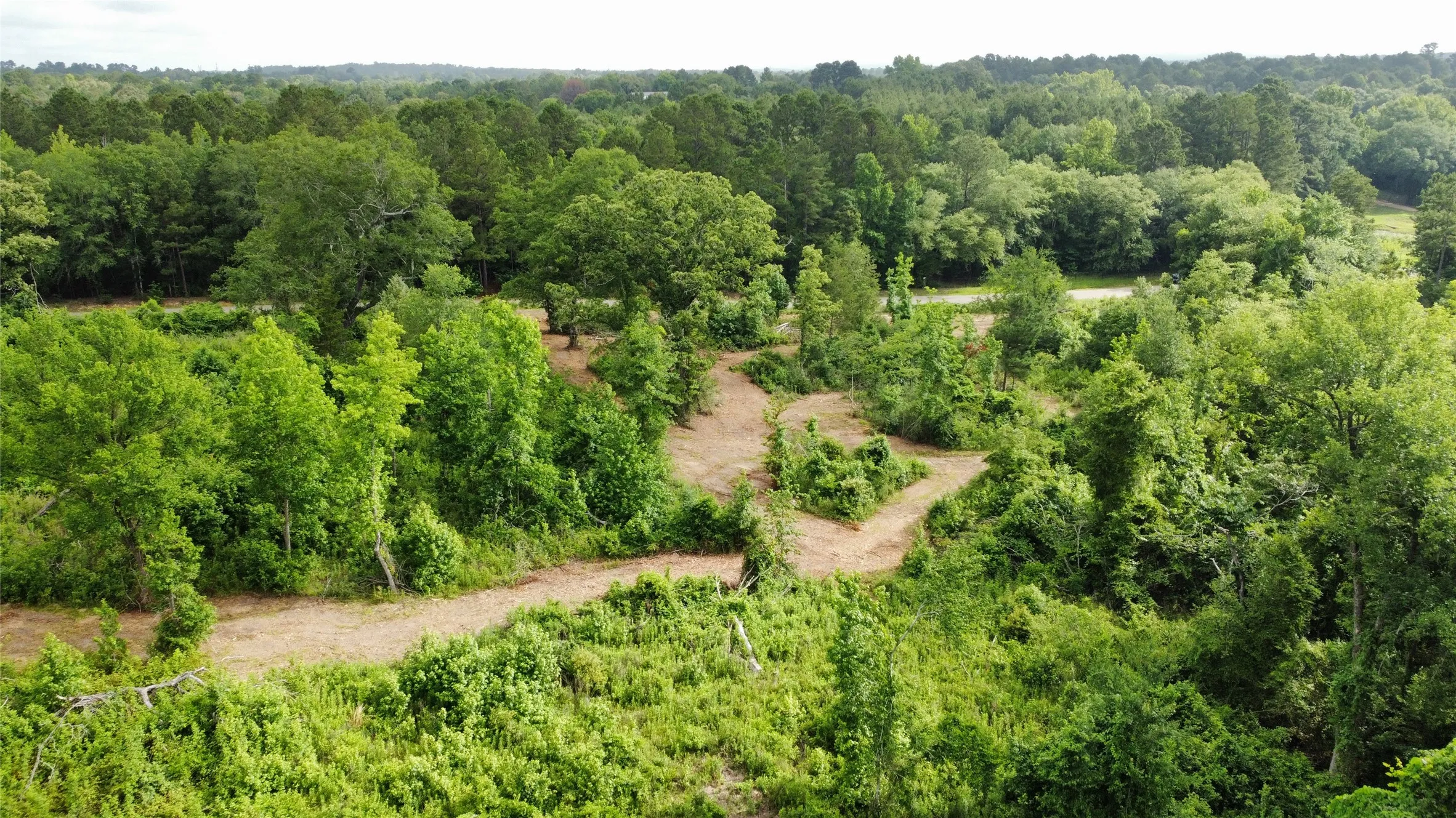 Unimproved Land For Sale in Smith County , TBD County Road 385, Tyler, Texas 75708, 0, 0, Garage spaces, 0 Sqft, built in 0, mls#21298372, Real Estate Agent in Tyler, Homes For Sale in Smith county, Homes For Sale in Tyler, Realtor in Tyler Texas, Real Estate Brokerage Independent Realty Texas, Luminita Cordes Realtor