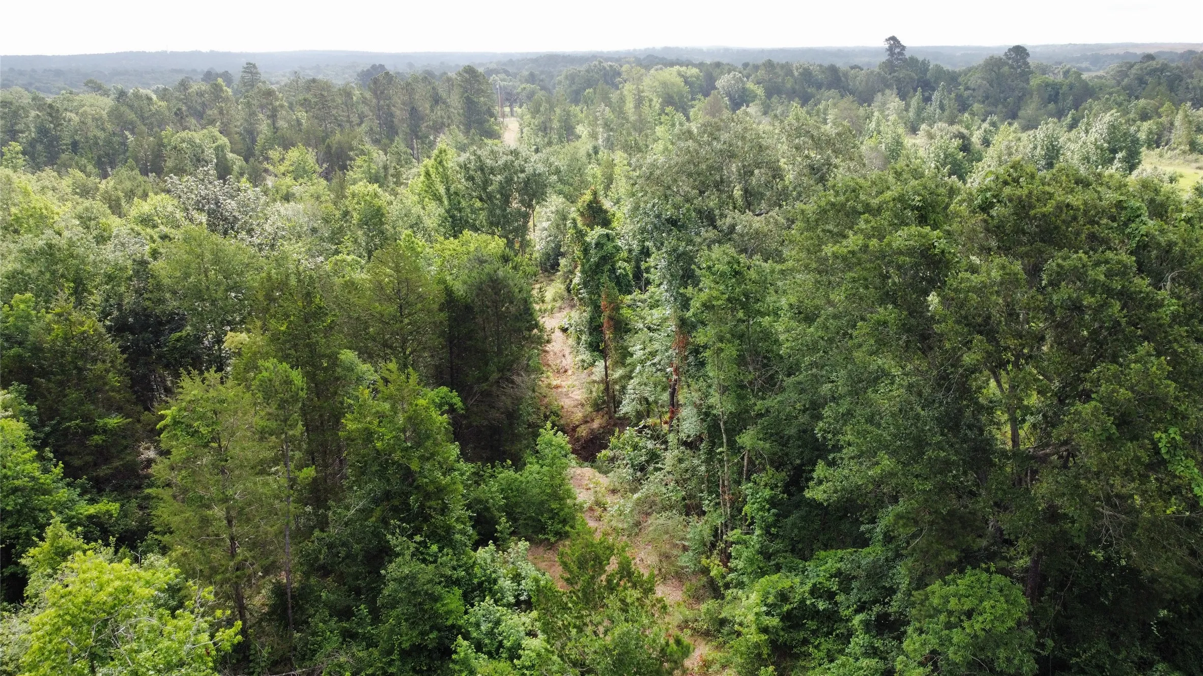 Unimproved Land For Sale in Smith County , TBD County Road 385, Tyler, Texas 75708, 0, 0, Garage spaces, 0 Sqft, built in 0, mls#21298372, Real Estate Agent in Tyler, Homes For Sale in Smith county, Homes For Sale in Tyler, Realtor in Tyler Texas, Real Estate Brokerage Independent Realty Texas, Luminita Cordes Realtor
