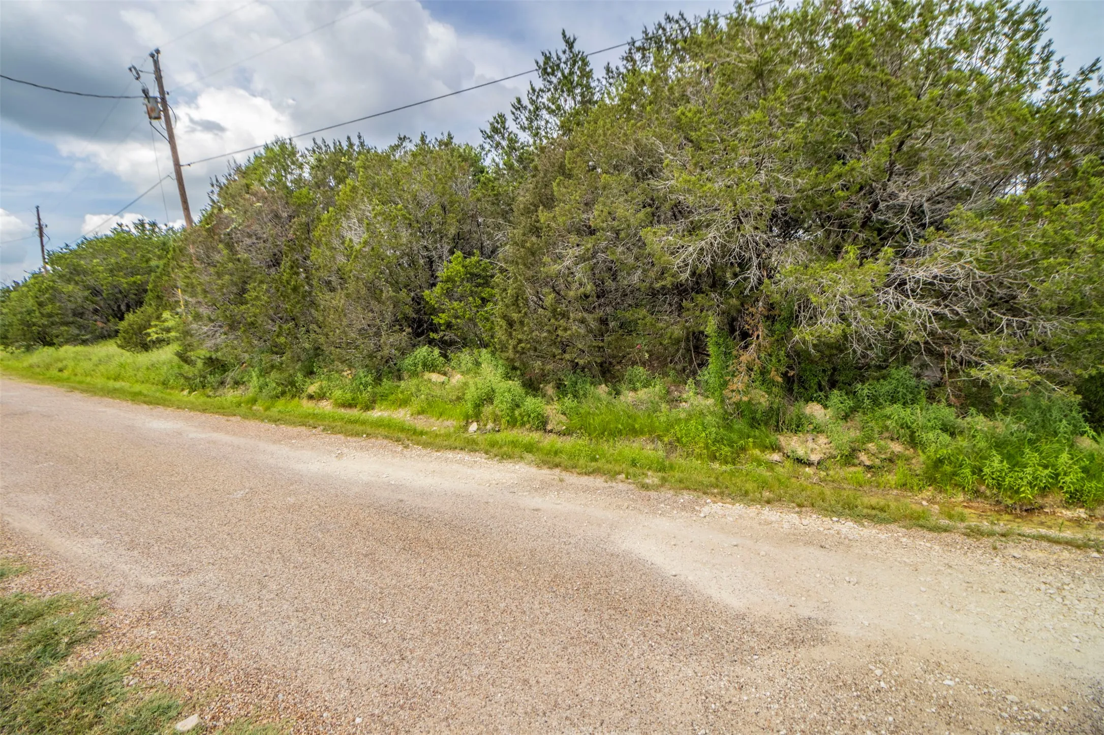 Gravel road with mature trees and varied foliage lining the perimeter