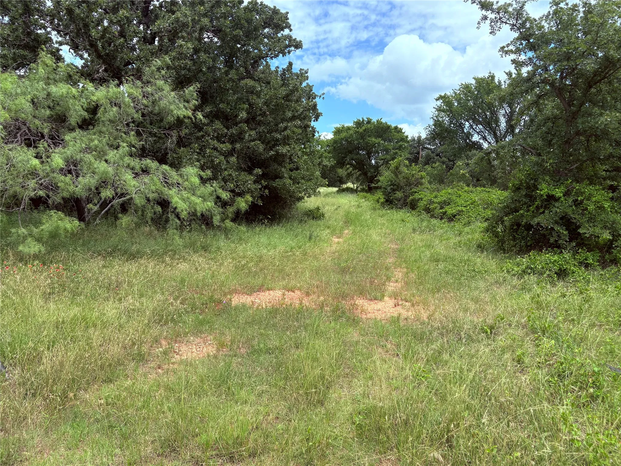 Unimproved Land For Sale in Eastland County , 1600 CR 330, Eastland, Texas 76448, 0, 0, Garage spaces, 0 Sqft, built in 0, mls#21298474, Real Estate Agent in Eastland, Homes For Sale in Eastland county, Homes For Sale in Eastland, Realtor in Eastland Texas, Real Estate Brokerage Independent Realty Texas, Luminita Cordes Realtor