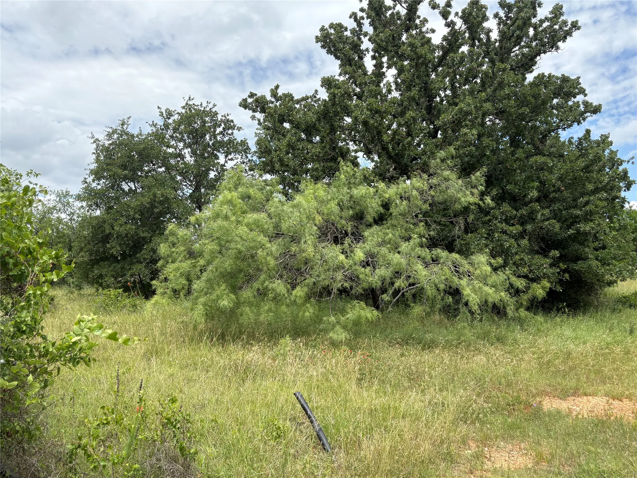 Unimproved Land For Sale in Eastland County , 1600 CR 330, Eastland, Texas 76448, 0, 0, Garage spaces, 0 Sqft, built in 0, mls#21298474, Real Estate Agent in Eastland, Homes For Sale in Eastland county, Homes For Sale in Eastland, Realtor in Eastland Texas, Real Estate Brokerage Independent Realty Texas, Luminita Cordes Realtor