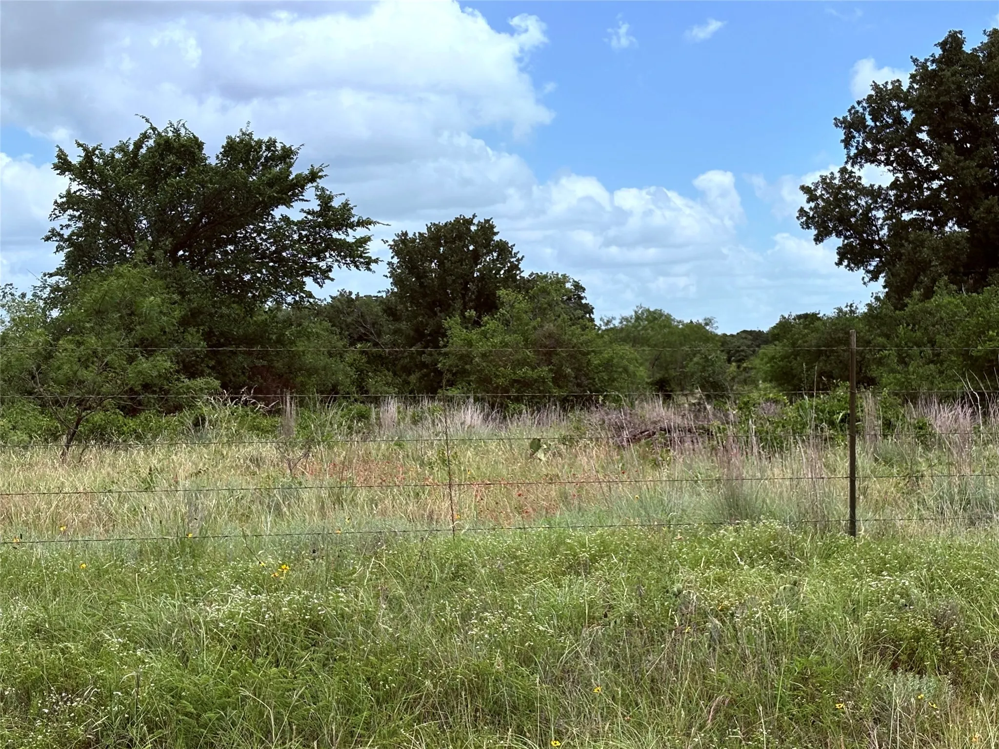 Unimproved Land For Sale in Eastland County , 1600 CR 330, Eastland, Texas 76448, 0, 0, Garage spaces, 0 Sqft, built in 0, mls#21298474, Real Estate Agent in Eastland, Homes For Sale in Eastland county, Homes For Sale in Eastland, Realtor in Eastland Texas, Real Estate Brokerage Independent Realty Texas, Luminita Cordes Realtor