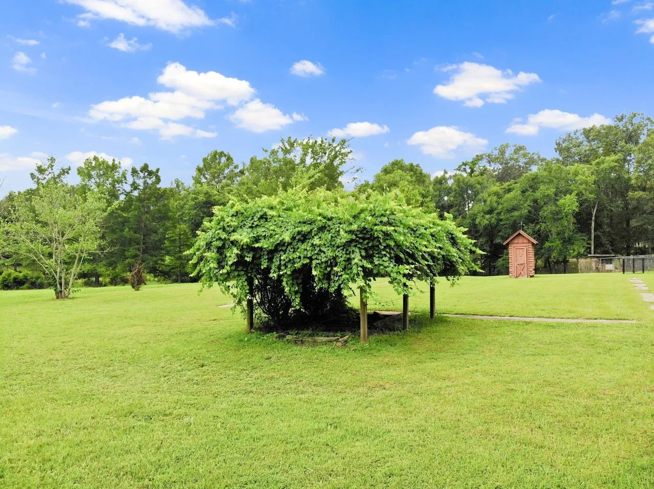 Single Family Residence For Sale in Titus County , 579 FM 2882, Mt Pleasant, Texas 75455, 3 Bedroom, 2 Bathroom, Garage spaces, 2,115 Sqft, built in 1988, mls#21298489, Real Estate Agent in Mt Pleasant, Homes For Sale in Titus county, Homes For Sale in Mt Pleasant, Realtor in Mt Pleasant Texas, Real Estate Brokerage Independent Realty Texas, Luminita Cordes Realtor
