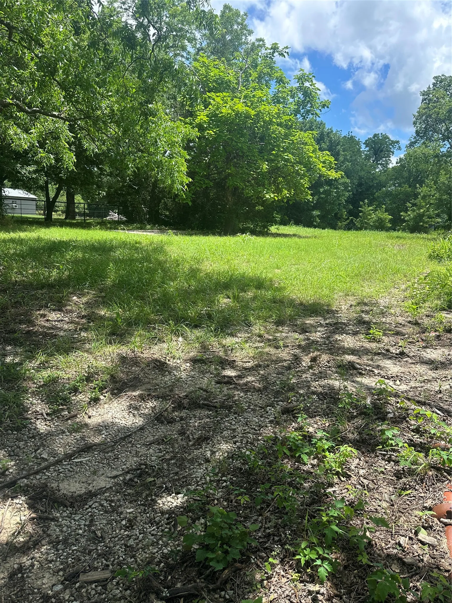 Unimproved Land For Sale in Fannin County , 1309 S 4th Street, Bonham, Texas 75418, 0, 0, Garage spaces, 0 Sqft, built in 1920, Price $67,000, mls#21298620, Real Estate Agent in Bonham, Homes For Sale in Fannin county, Homes For Sale in Bonham, Realtor in Bonham Texas, Real Estate Brokerage Independent Realty Texas, Luminita Cordes Realtor