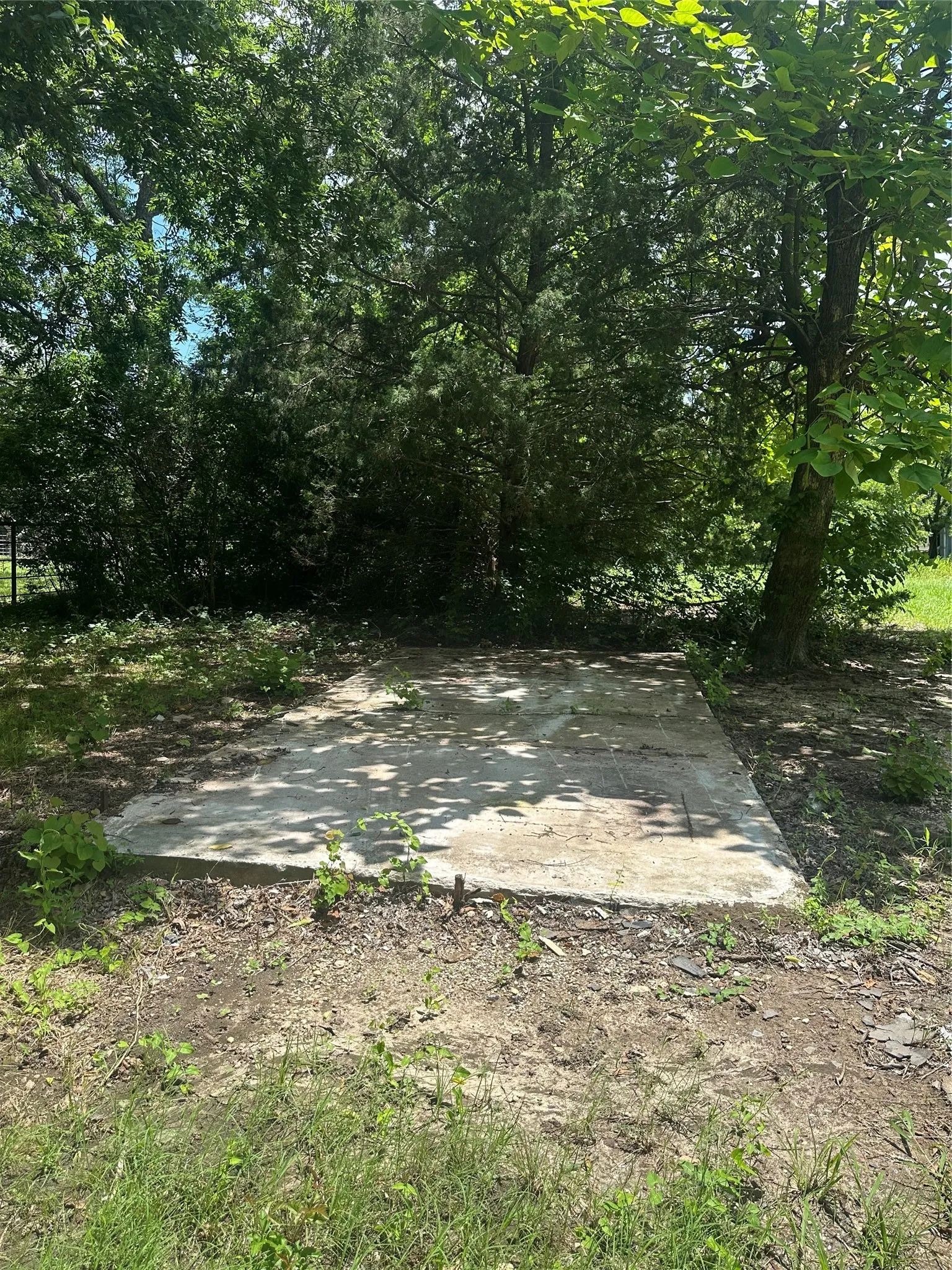 Concrete pad with surrounding natural vegetation and mature trees