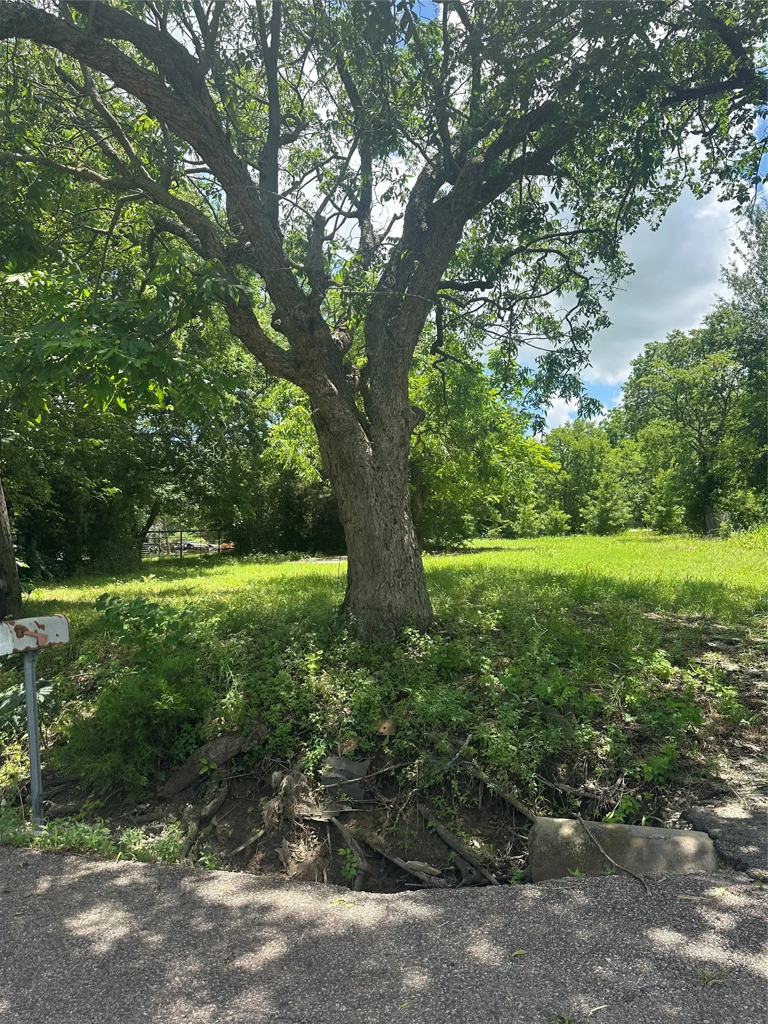 Unimproved Land For Sale in Fannin County , 1309 S 4th Street, Bonham, Texas 75418, 0, 0, Garage spaces, 0 Sqft, built in 1920, Price $67,000, mls#21298620, Real Estate Agent in Bonham, Homes For Sale in Fannin county, Homes For Sale in Bonham, Realtor in Bonham Texas, Real Estate Brokerage Independent Realty Texas, Luminita Cordes Realtor