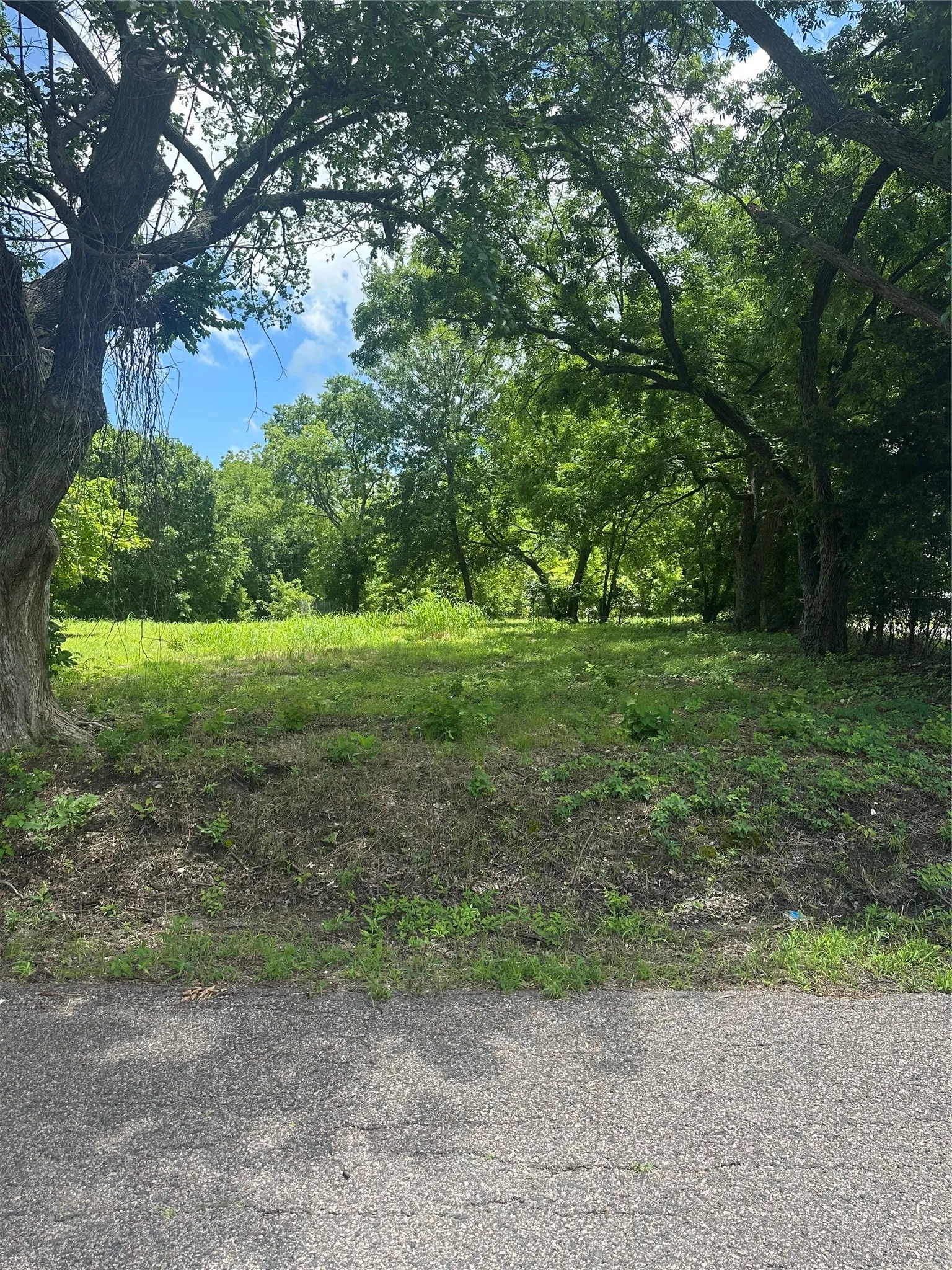 Unimproved Land For Sale in Fannin County , 1309 S 4th Street, Bonham, Texas 75418, 0, 0, Garage spaces, 0 Sqft, built in 1920, Price $67,000, mls#21298620, Real Estate Agent in Bonham, Homes For Sale in Fannin county, Homes For Sale in Bonham, Realtor in Bonham Texas, Real Estate Brokerage Independent Realty Texas, Luminita Cordes Realtor