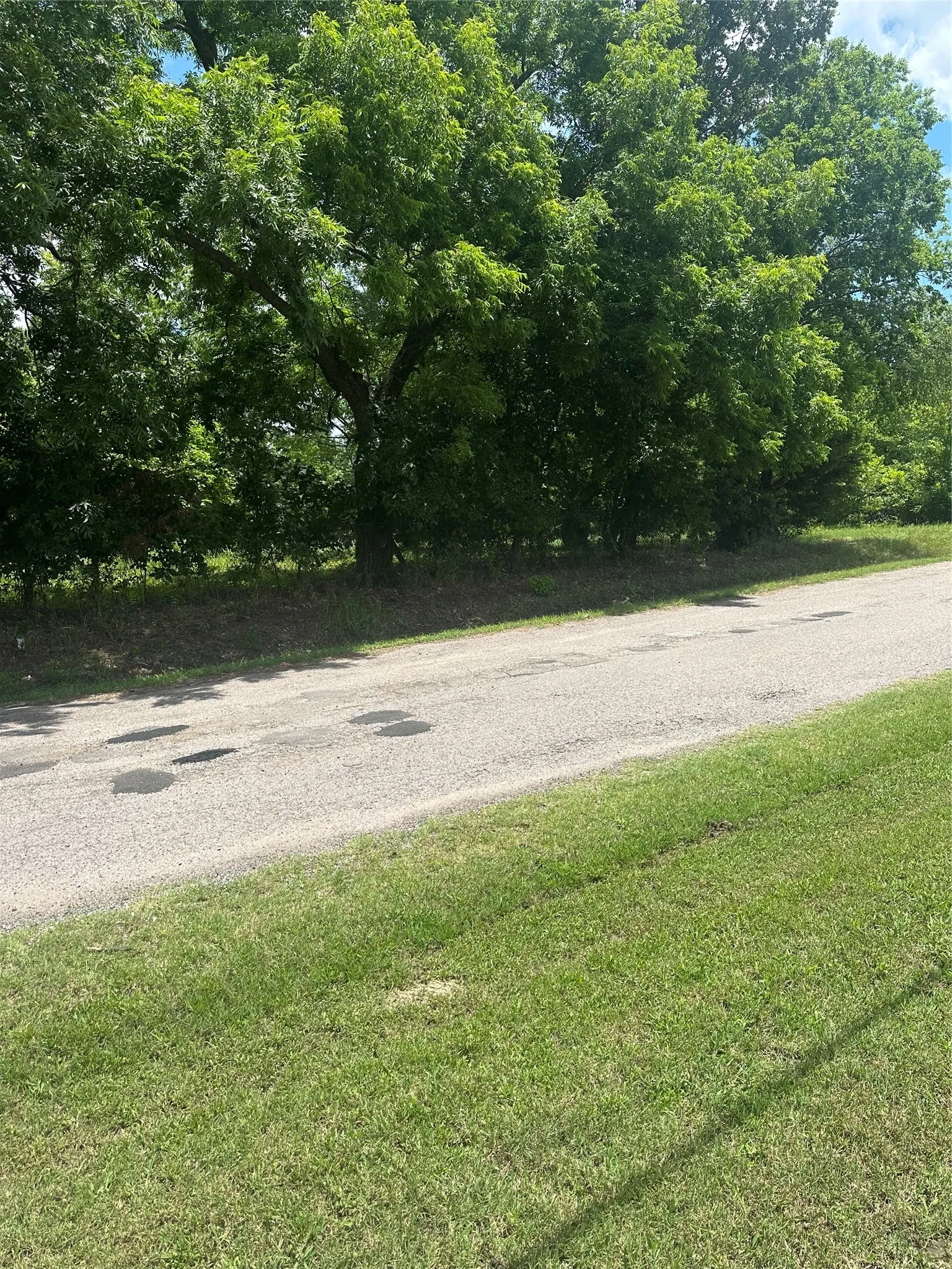 Unimproved Land For Sale in Fannin County , 1309 S 4th Street, Bonham, Texas 75418, 0, 0, Garage spaces, 0 Sqft, built in 1920, Price $67,000, mls#21298620, Real Estate Agent in Bonham, Homes For Sale in Fannin county, Homes For Sale in Bonham, Realtor in Bonham Texas, Real Estate Brokerage Independent Realty Texas, Luminita Cordes Realtor