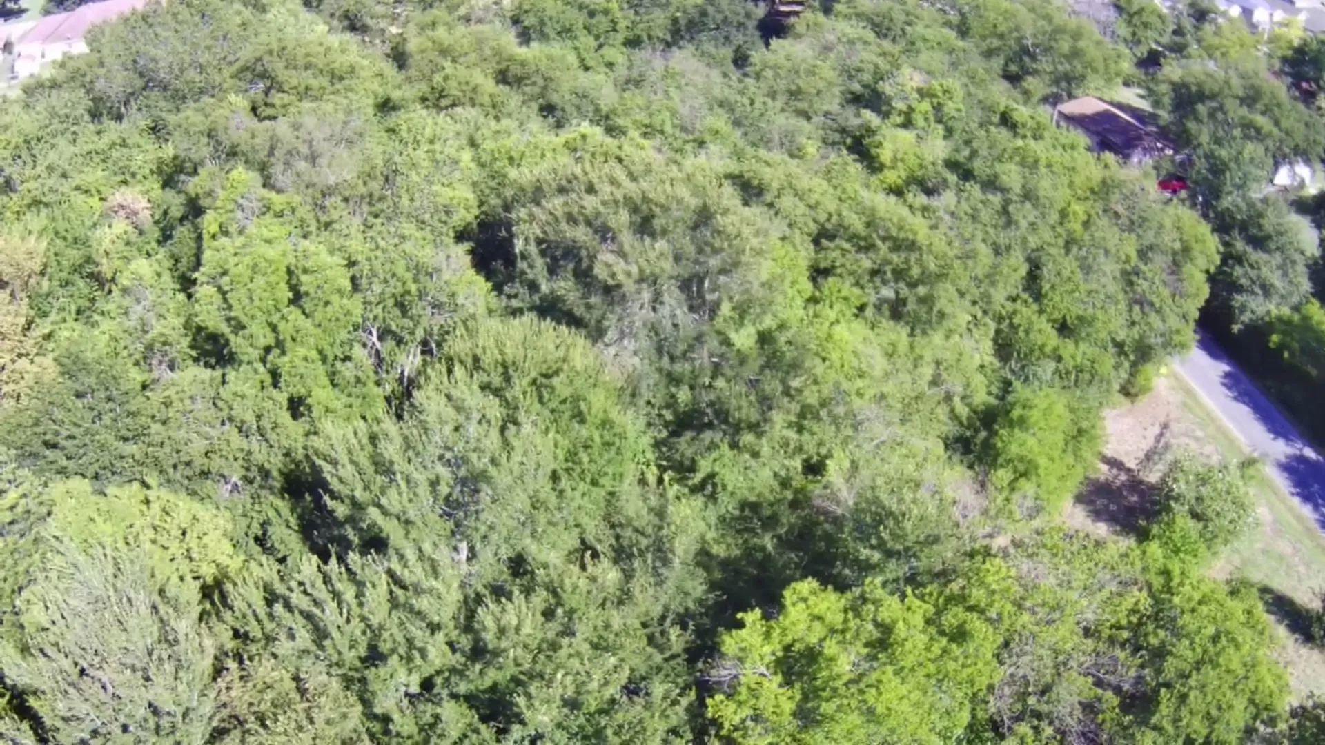 Unimproved Land For Sale in Fannin County , 0000 Lee Street, Bonham, Texas 75418, 0, 0, Garage spaces, 0 Sqft, built in 0, mls#21298635, Real Estate Agent in Bonham, Homes For Sale in Fannin county, Homes For Sale in Bonham, Realtor in Bonham Texas, Real Estate Brokerage Independent Realty Texas, Luminita Cordes Realtor