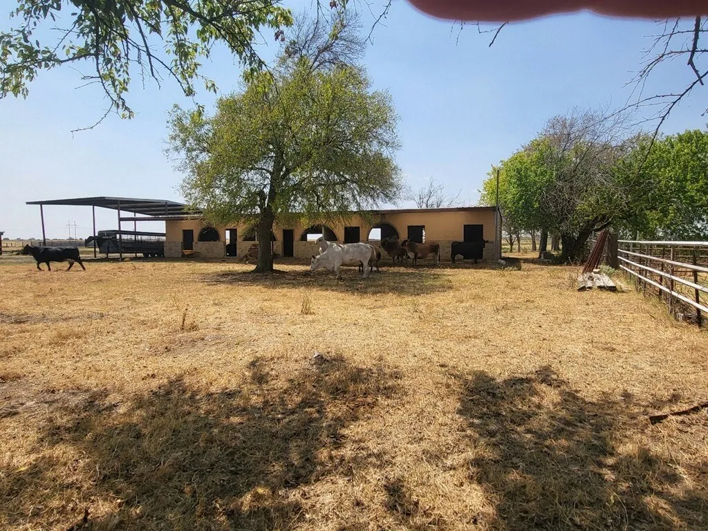 Single Family Residence For Sale in Johnson County , 2532 S Highway 171, Cleburne, Texas 76031, 4 Bedrooms, 5 Bathrooms, Garage spaces, 4,625 Sqft, built in 2019, Price $3,249,000, mls#21298642, Real Estate Agent in Cleburne, Homes For Sale in Johnson county, Homes For Sale in Cleburne, Realtor in Cleburne Texas, Real Estate Brokerage Independent Realty Texas, Luminita Cordes Realtor