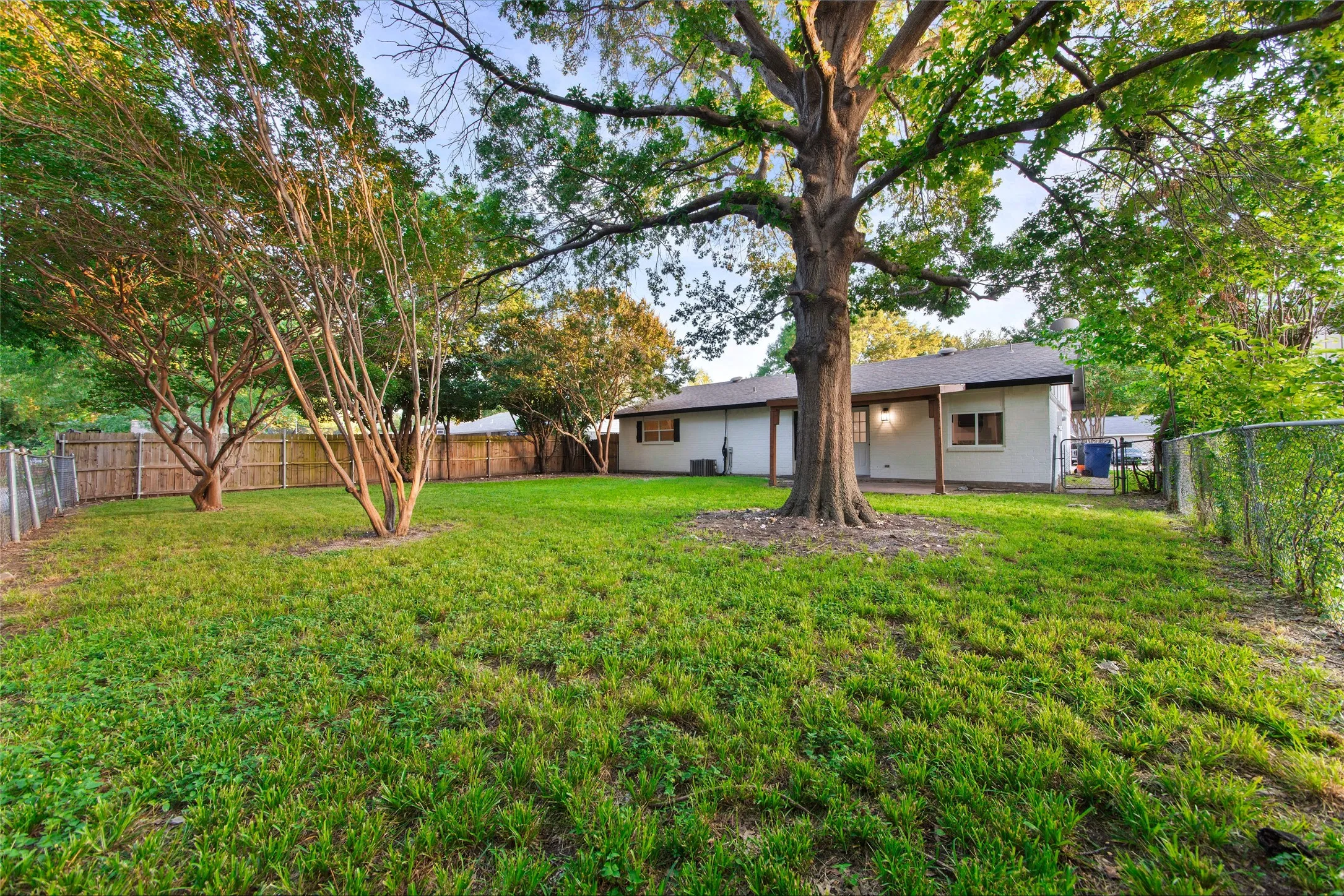 Expansive backyard featuring a mature central tree, additional specimen trees, and a manicured lawn