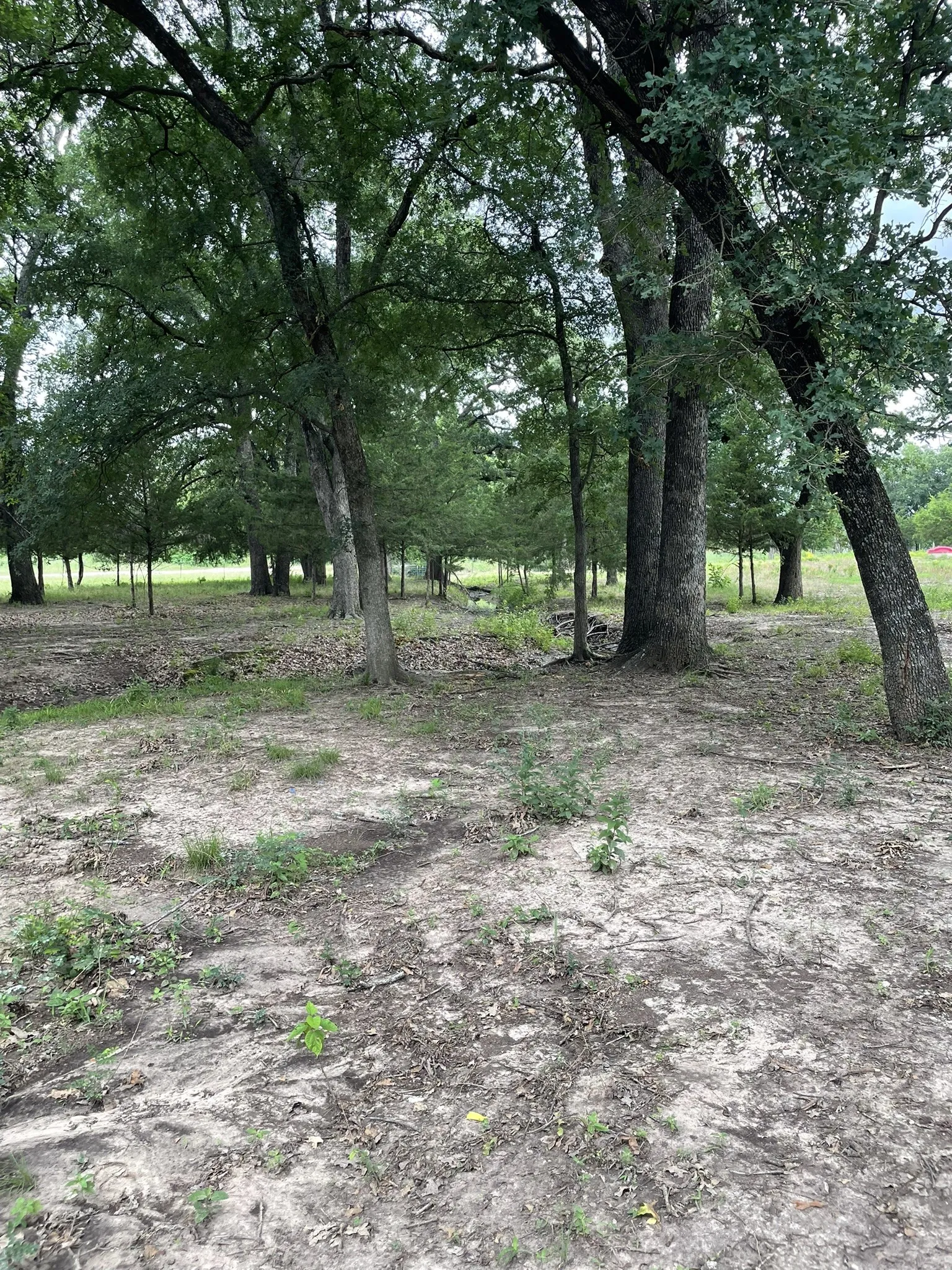 Unimproved Land For Sale in Hunt County , TBD Private Road 2545, Quinlan, Texas 75474, 0, 0, Garage spaces, 0 Sqft, built in 0, mls#21298384, Real Estate Agent in Quinlan, Homes For Sale in Hunt county, Homes For Sale in Quinlan, Realtor in Quinlan Texas, Real Estate Brokerage Independent Realty Texas, Luminita Cordes Realtor