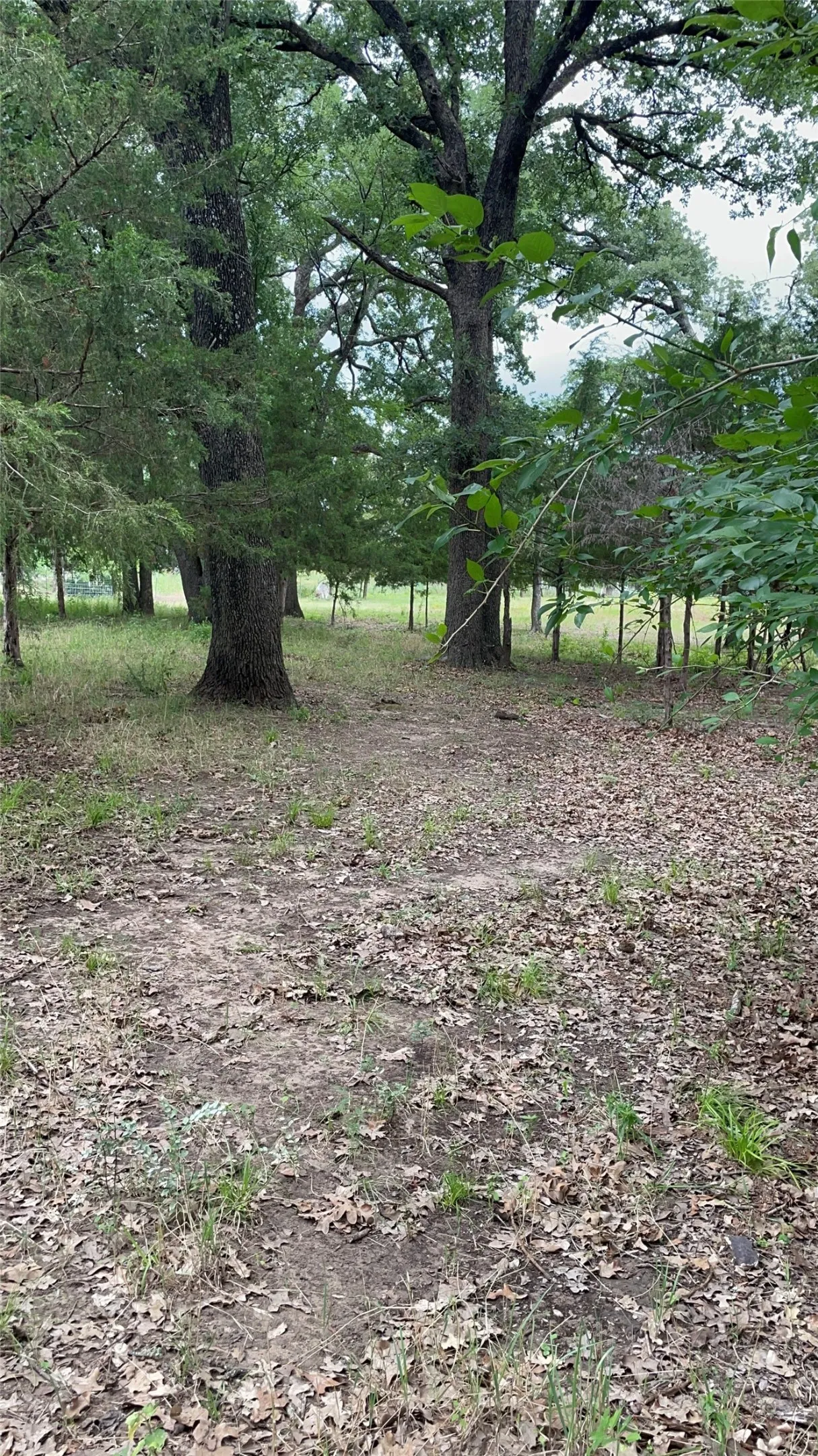 Unimproved Land For Sale in Hunt County , TBD Private Road 2545, Quinlan, Texas 75474, 0, 0, Garage spaces, 0 Sqft, built in 0, mls#21298384, Real Estate Agent in Quinlan, Homes For Sale in Hunt county, Homes For Sale in Quinlan, Realtor in Quinlan Texas, Real Estate Brokerage Independent Realty Texas, Luminita Cordes Realtor