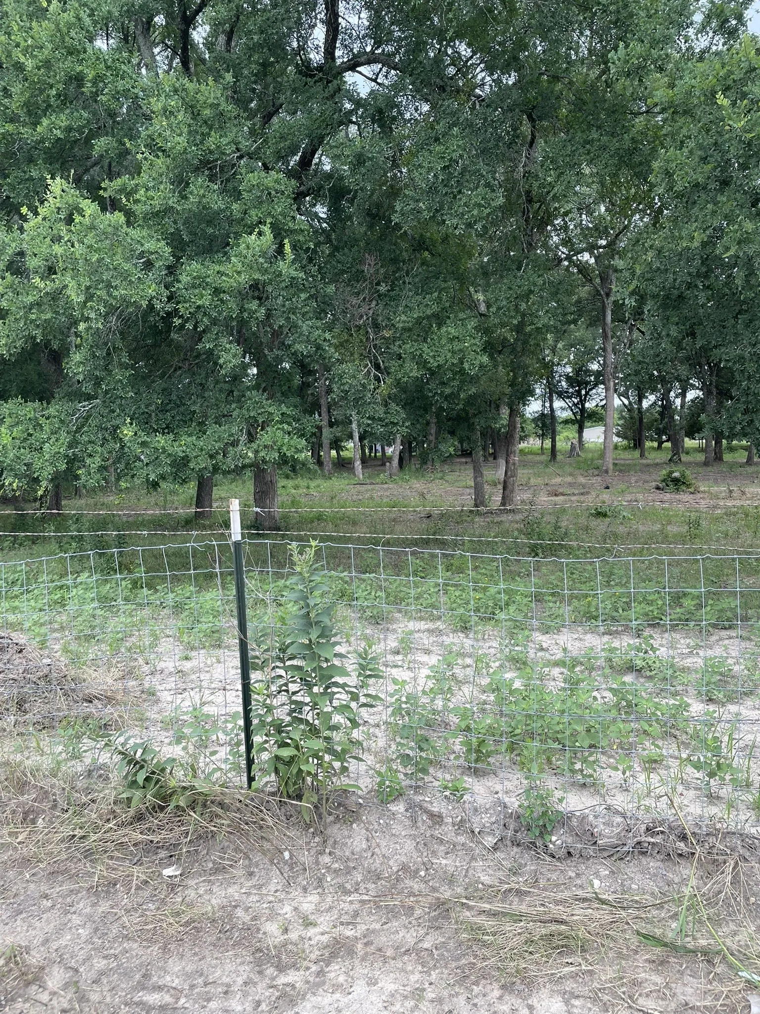 Unimproved Land For Sale in Hunt County , TBD Private Road 2545, Quinlan, Texas 75474, 0, 0, Garage spaces, 0 Sqft, built in 0, mls#21298384, Real Estate Agent in Quinlan, Homes For Sale in Hunt county, Homes For Sale in Quinlan, Realtor in Quinlan Texas, Real Estate Brokerage Independent Realty Texas, Luminita Cordes Realtor