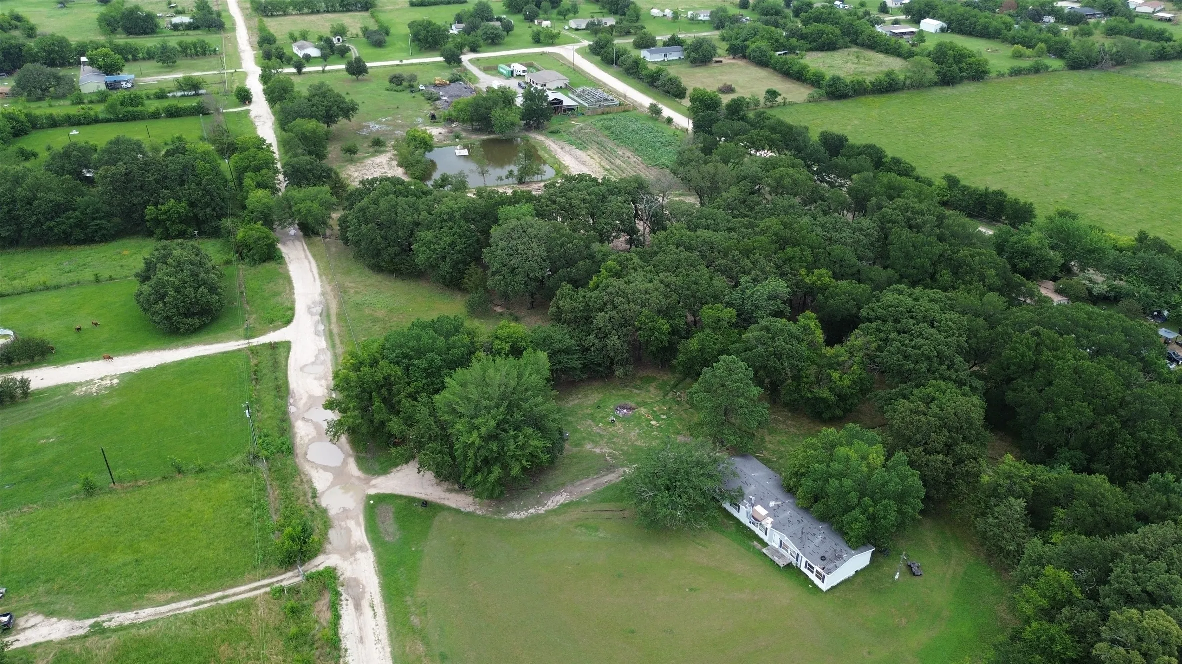 Unimproved Land For Sale in Hunt County , TBD Private Road 2545, Quinlan, Texas 75474, 0, 0, Garage spaces, 0 Sqft, built in 0, mls#21298384, Real Estate Agent in Quinlan, Homes For Sale in Hunt county, Homes For Sale in Quinlan, Realtor in Quinlan Texas, Real Estate Brokerage Independent Realty Texas, Luminita Cordes Realtor