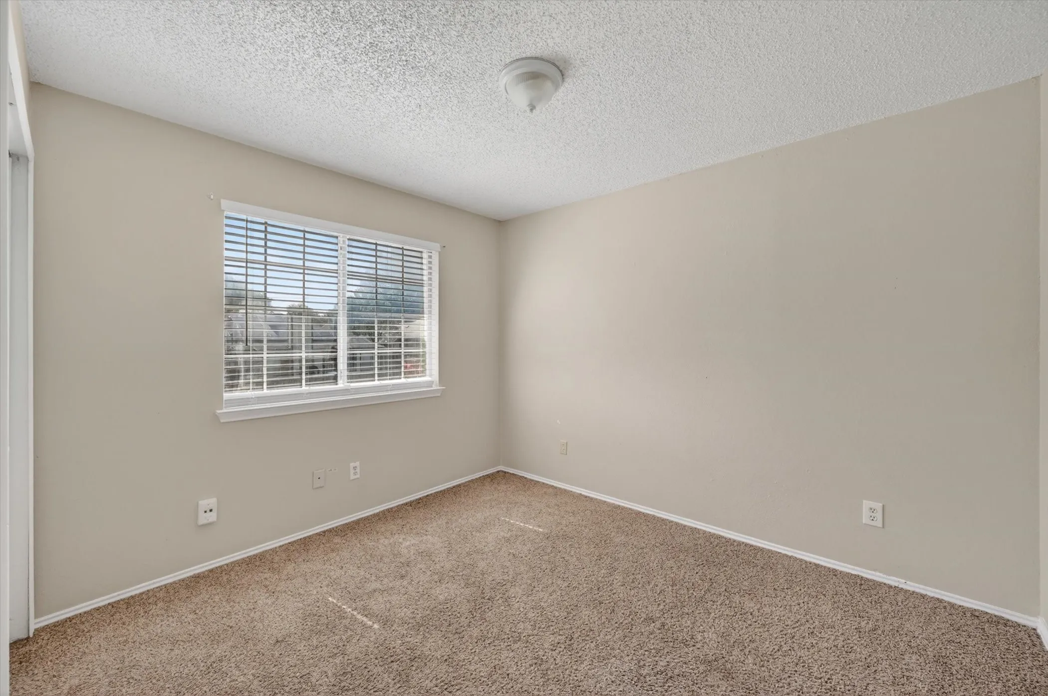 Neutral-toned walls complement the textured carpet flooring