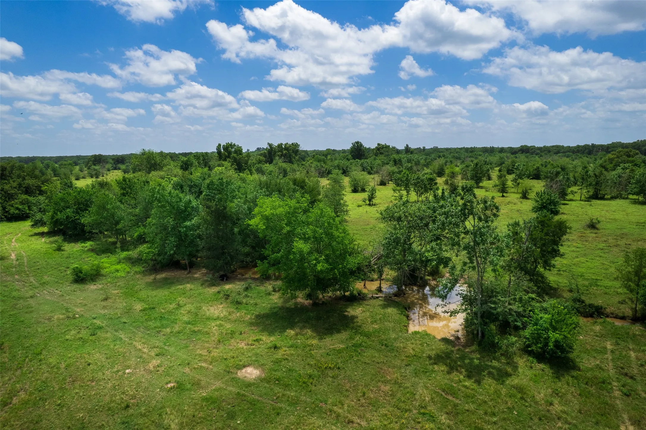 Unimproved Land For Sale in Franklin (TX) County , TBD W Farm Rd 71, Talco, Texas 75487, 0, 0, Garage spaces, 0 Sqft, built in 0, mls#21297720, Real Estate Agent in Talco, Homes For Sale in Franklin (TX) county, Homes For Sale in Talco, Realtor in Talco Texas, Real Estate Brokerage Independent Realty Texas, Luminita Cordes Realtor