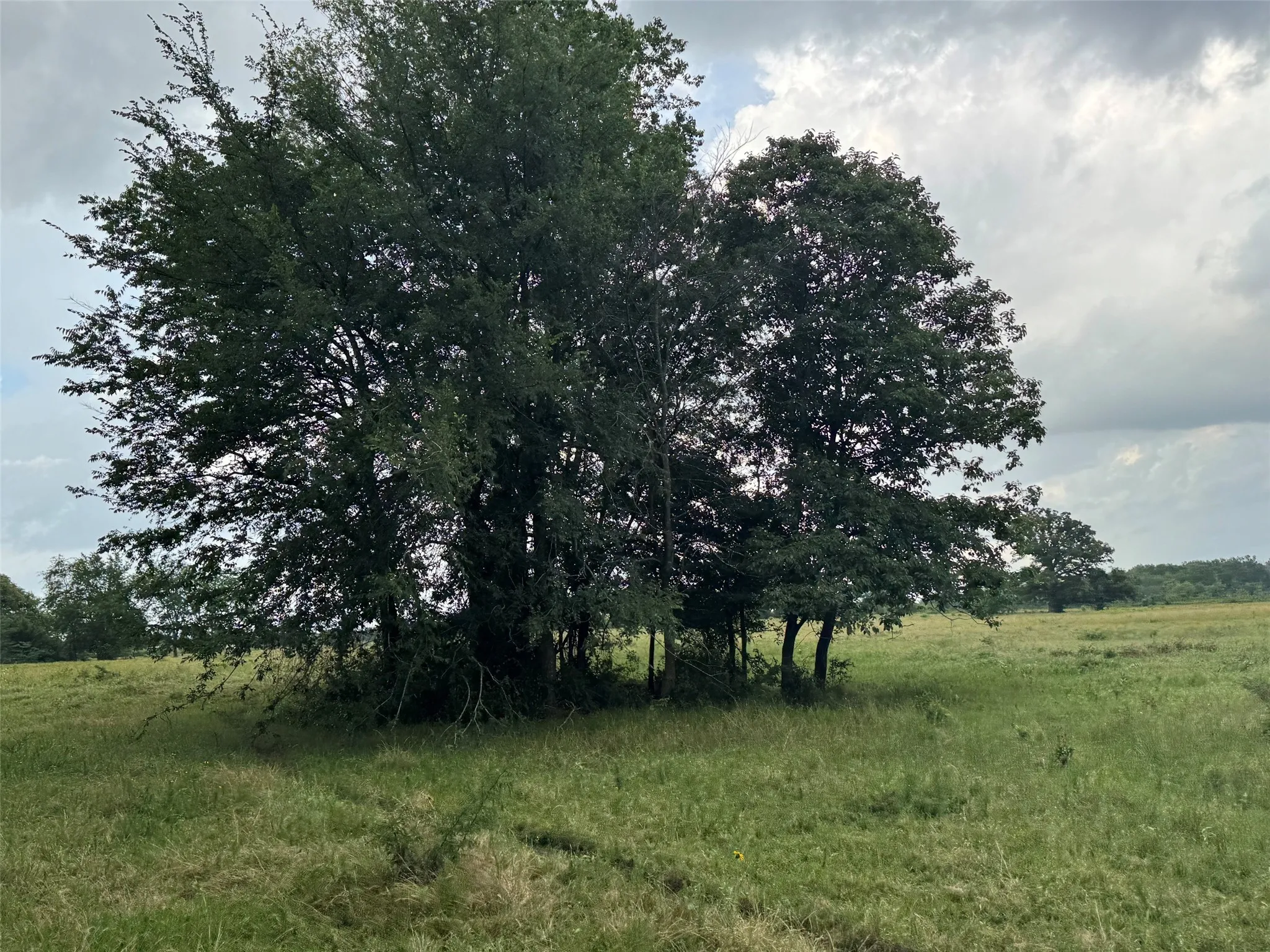 Unimproved Land For Sale in Franklin (TX) County , TBD W Farm Rd 71, Talco, Texas 75487, 0, 0, Garage spaces, 0 Sqft, built in 0, mls#21297720, Real Estate Agent in Talco, Homes For Sale in Franklin (TX) county, Homes For Sale in Talco, Realtor in Talco Texas, Real Estate Brokerage Independent Realty Texas, Luminita Cordes Realtor