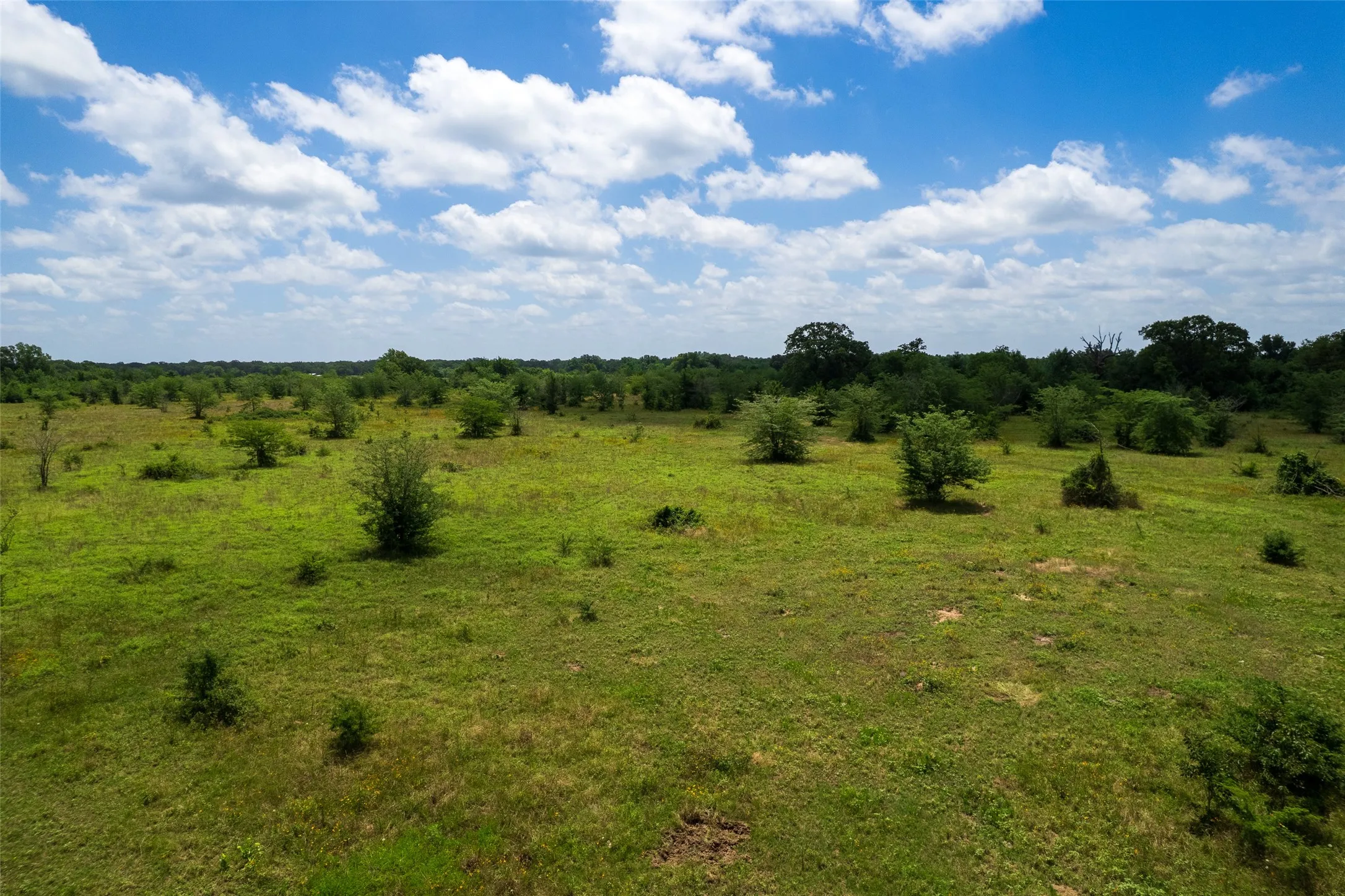 Unimproved Land For Sale in Franklin (TX) County , TBD W Farm Rd 71, Talco, Texas 75487, 0, 0, Garage spaces, 0 Sqft, built in 0, mls#21297720, Real Estate Agent in Talco, Homes For Sale in Franklin (TX) county, Homes For Sale in Talco, Realtor in Talco Texas, Real Estate Brokerage Independent Realty Texas, Luminita Cordes Realtor