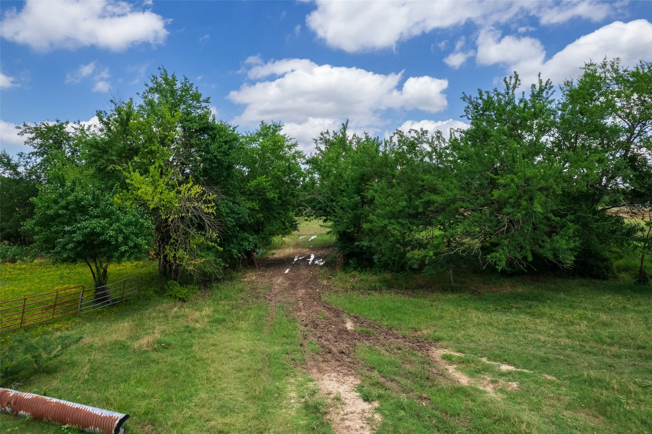 Unimproved Land For Sale in Franklin (TX) County , TBD W Farm Rd 71, Talco, Texas 75487, 0, 0, Garage spaces, 0 Sqft, built in 0, mls#21297720, Real Estate Agent in Talco, Homes For Sale in Franklin (TX) county, Homes For Sale in Talco, Realtor in Talco Texas, Real Estate Brokerage Independent Realty Texas, Luminita Cordes Realtor