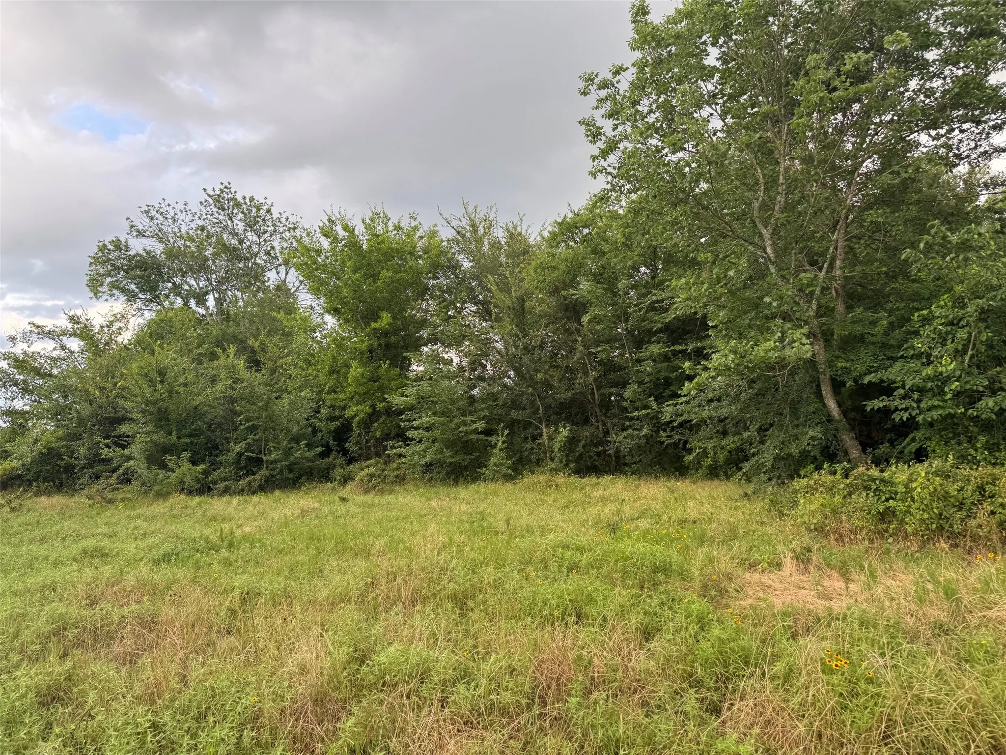Unimproved Land For Sale in Franklin (TX) County , TBD W Farm Rd 71, Talco, Texas 75487, 0, 0, Garage spaces, 0 Sqft, built in 0, mls#21297720, Real Estate Agent in Talco, Homes For Sale in Franklin (TX) county, Homes For Sale in Talco, Realtor in Talco Texas, Real Estate Brokerage Independent Realty Texas, Luminita Cordes Realtor
