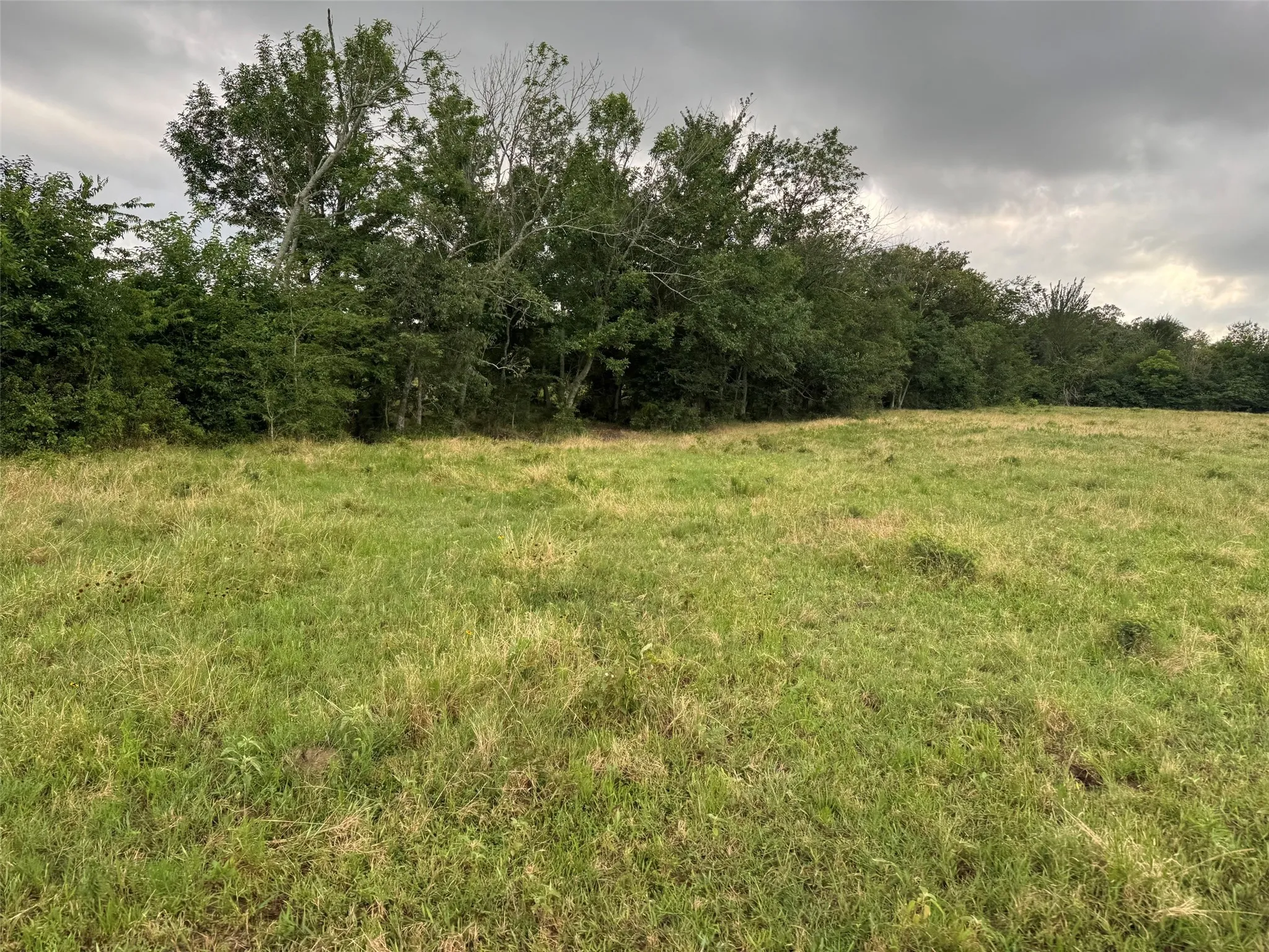 Unimproved Land For Sale in Franklin (TX) County , TBD W Farm Rd 71, Talco, Texas 75487, 0, 0, Garage spaces, 0 Sqft, built in 0, mls#21297720, Real Estate Agent in Talco, Homes For Sale in Franklin (TX) county, Homes For Sale in Talco, Realtor in Talco Texas, Real Estate Brokerage Independent Realty Texas, Luminita Cordes Realtor