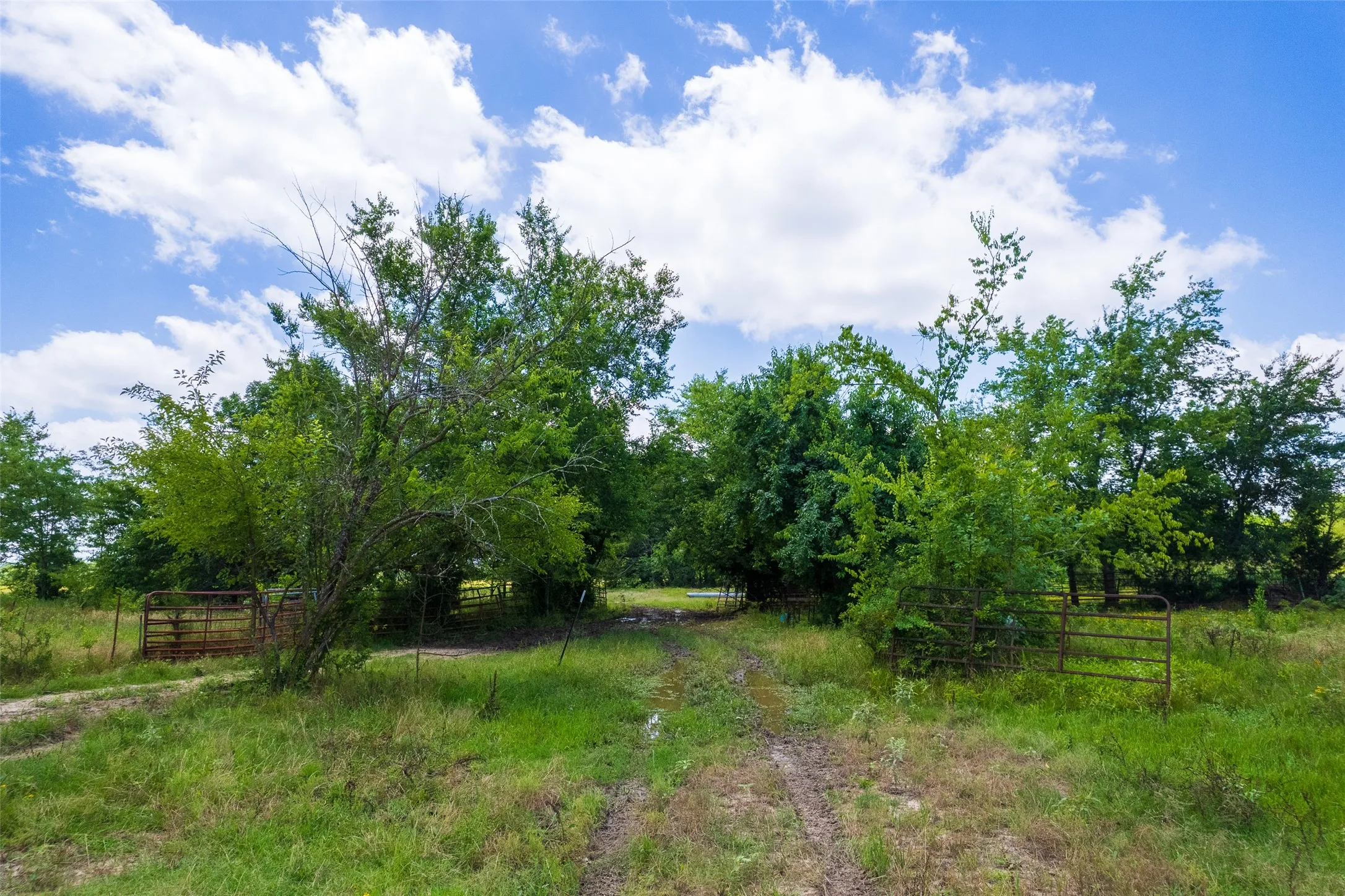 Unimproved Land For Sale in Franklin (TX) County , TBD W Farm Rd 71, Talco, Texas 75487, 0, 0, Garage spaces, 0 Sqft, built in 0, mls#21297720, Real Estate Agent in Talco, Homes For Sale in Franklin (TX) county, Homes For Sale in Talco, Realtor in Talco Texas, Real Estate Brokerage Independent Realty Texas, Luminita Cordes Realtor