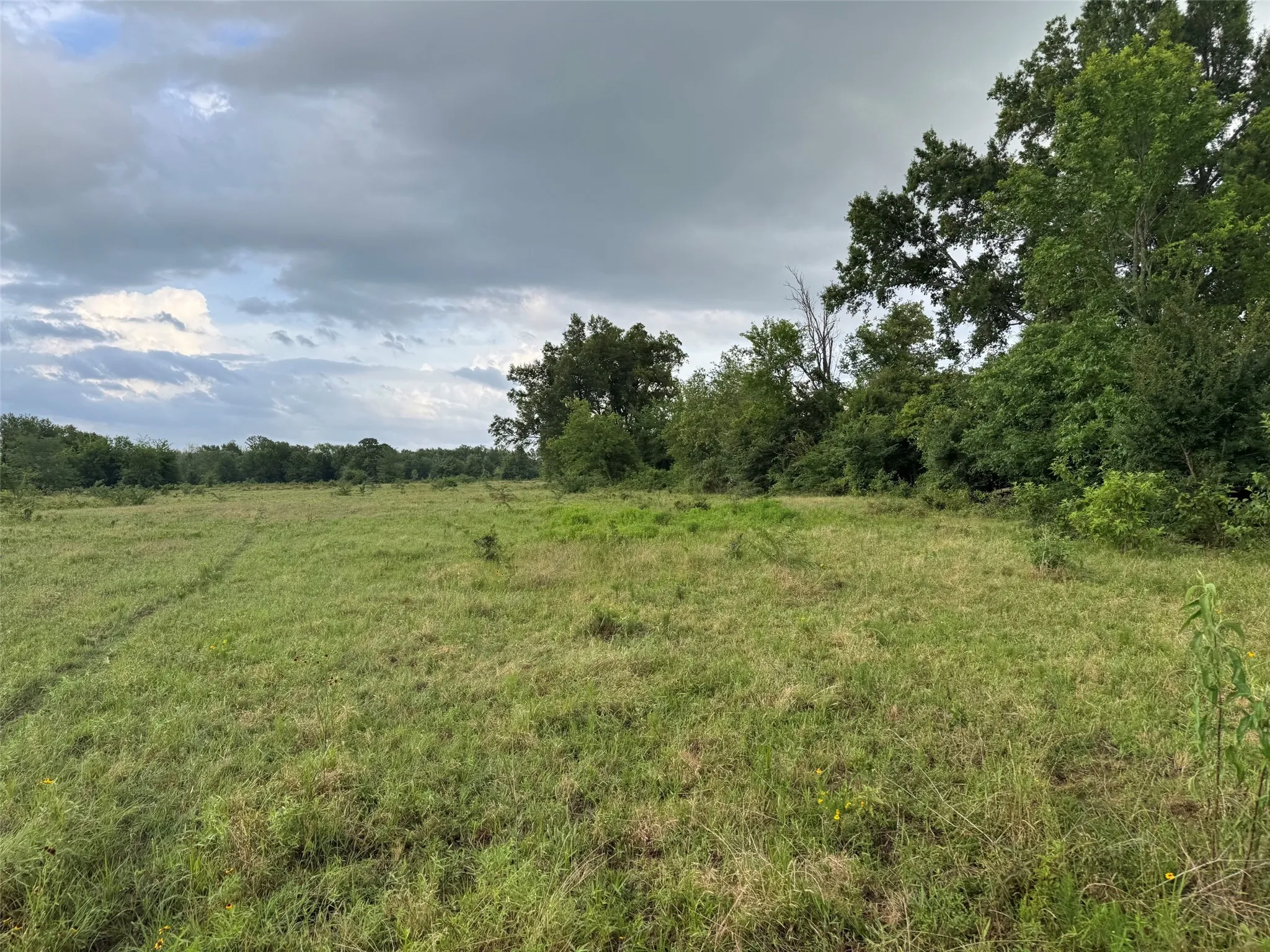 Unimproved Land For Sale in Franklin (TX) County , TBD W Farm Rd 71, Talco, Texas 75487, 0, 0, Garage spaces, 0 Sqft, built in 0, mls#21297720, Real Estate Agent in Talco, Homes For Sale in Franklin (TX) county, Homes For Sale in Talco, Realtor in Talco Texas, Real Estate Brokerage Independent Realty Texas, Luminita Cordes Realtor