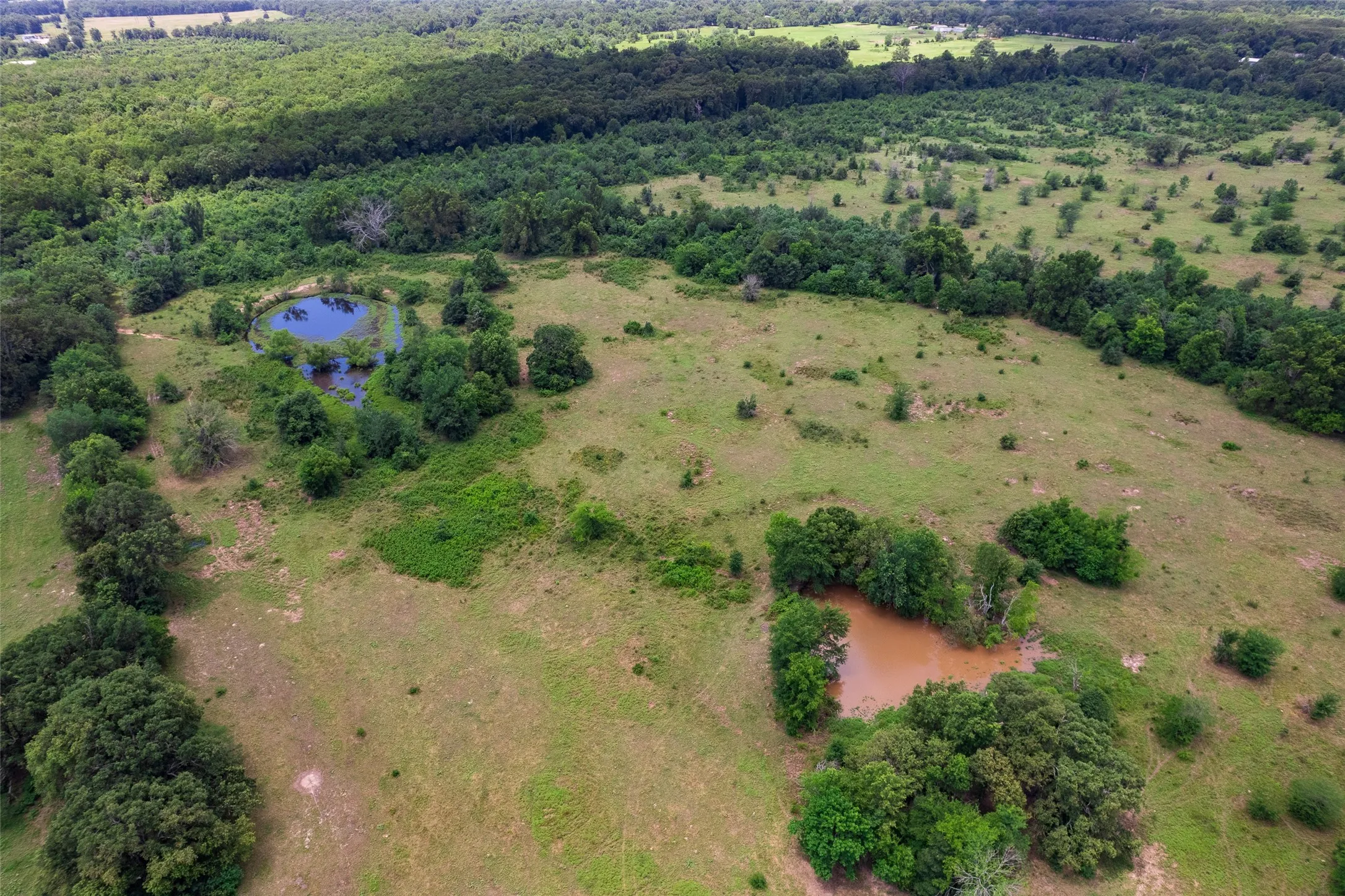 Unimproved Land For Sale in Franklin (TX) County , TBD W Farm Rd 71, Talco, Texas 75487, 0, 0, Garage spaces, 0 Sqft, built in 0, mls#21297720, Real Estate Agent in Talco, Homes For Sale in Franklin (TX) county, Homes For Sale in Talco, Realtor in Talco Texas, Real Estate Brokerage Independent Realty Texas, Luminita Cordes Realtor