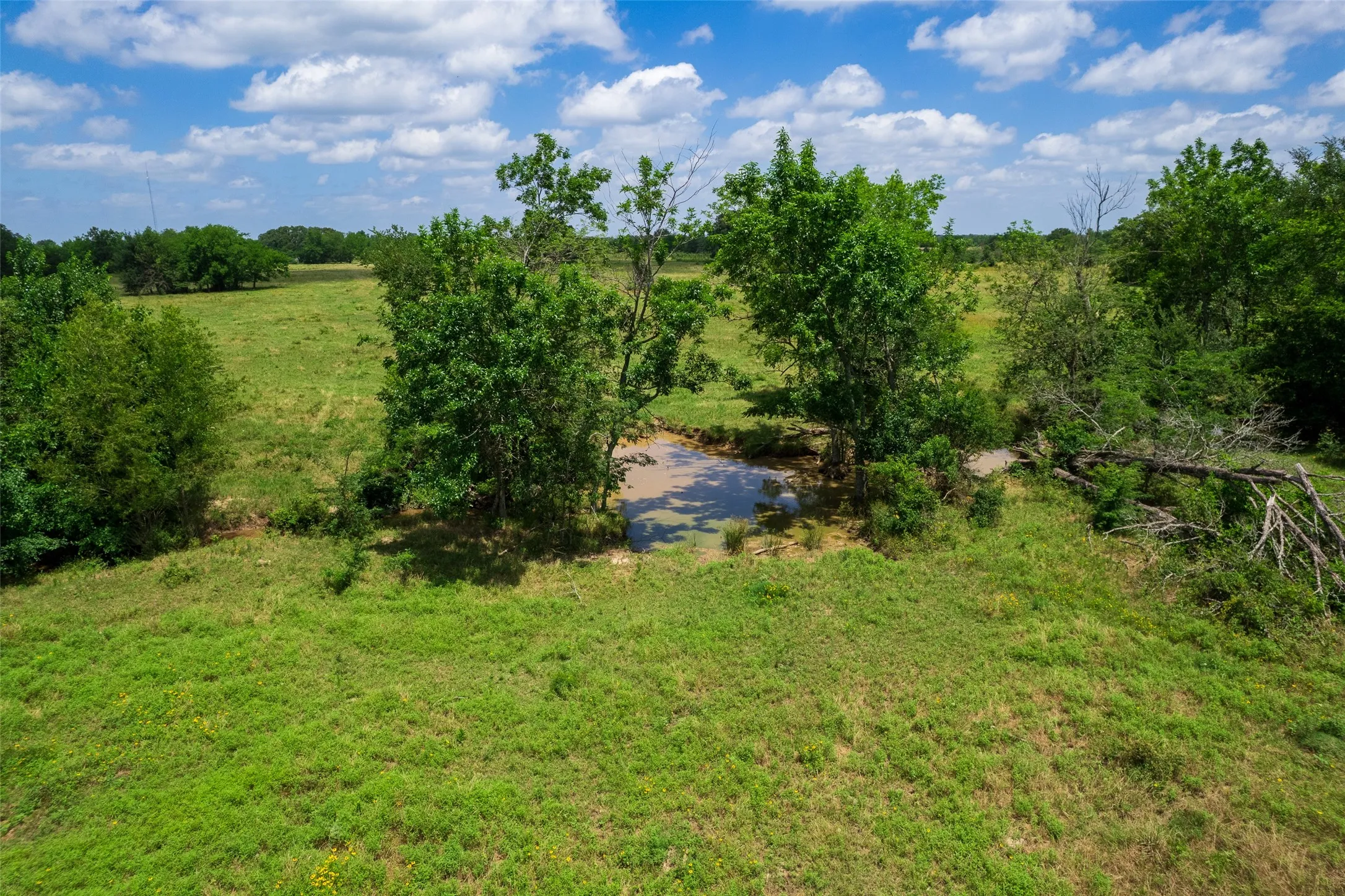 Unimproved Land For Sale in Franklin (TX) County , TBD W Farm Rd 71, Talco, Texas 75487, 0, 0, Garage spaces, 0 Sqft, built in 0, mls#21297720, Real Estate Agent in Talco, Homes For Sale in Franklin (TX) county, Homes For Sale in Talco, Realtor in Talco Texas, Real Estate Brokerage Independent Realty Texas, Luminita Cordes Realtor