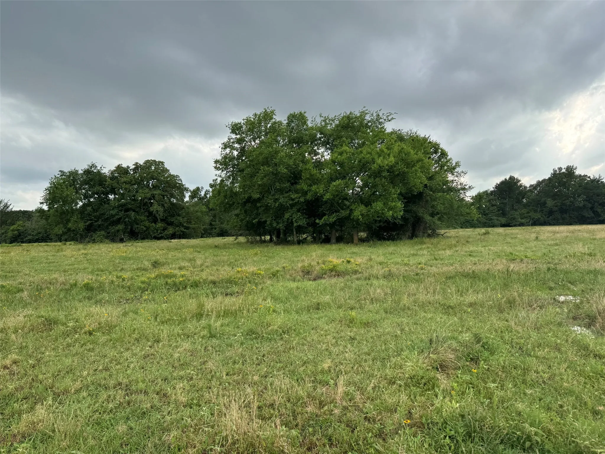 Unimproved Land For Sale in Franklin (TX) County , TBD W Farm Rd 71, Talco, Texas 75487, 0, 0, Garage spaces, 0 Sqft, built in 0, mls#21297720, Real Estate Agent in Talco, Homes For Sale in Franklin (TX) county, Homes For Sale in Talco, Realtor in Talco Texas, Real Estate Brokerage Independent Realty Texas, Luminita Cordes Realtor