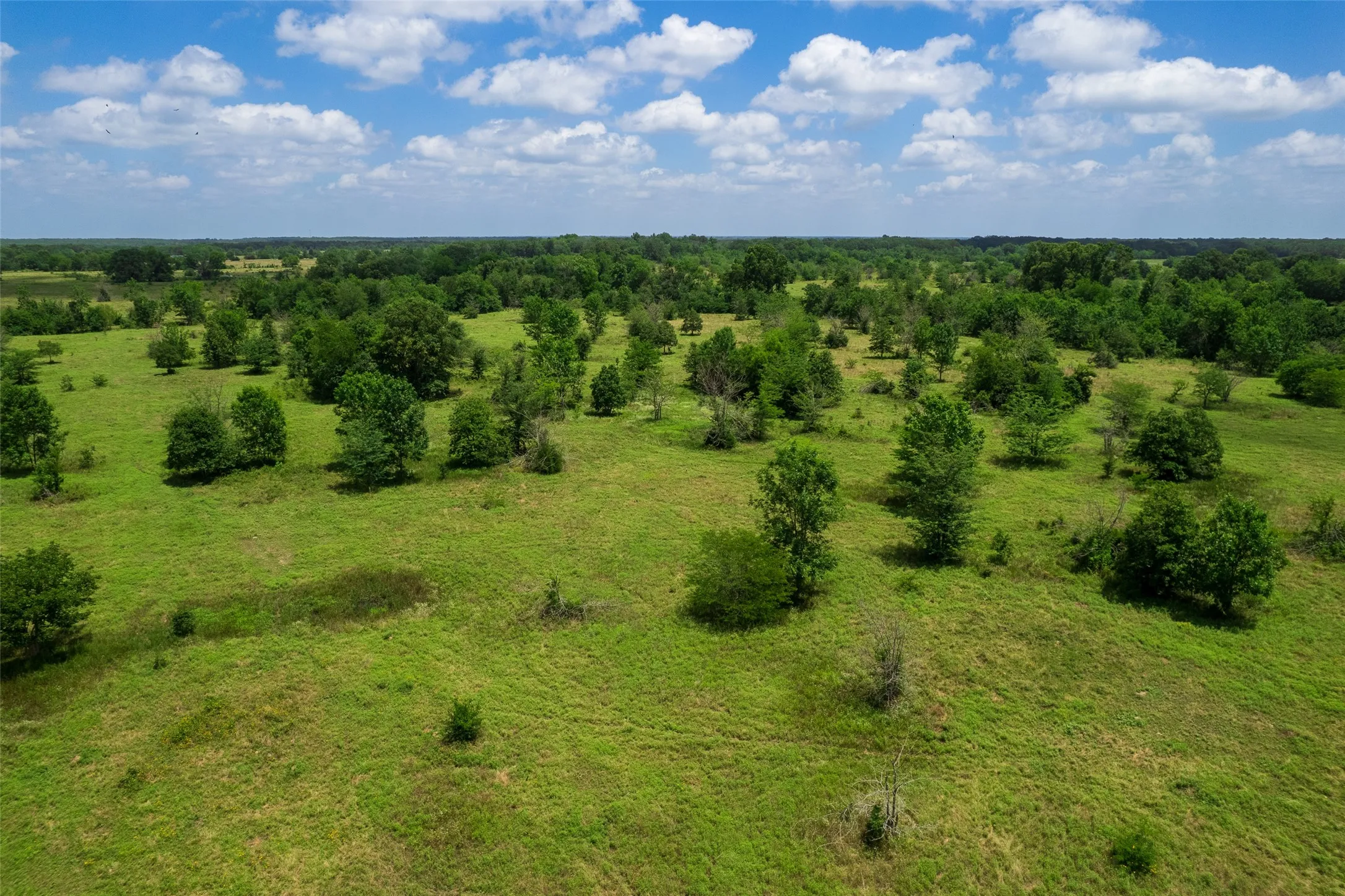 Unimproved Land For Sale in Franklin (TX) County , TBD W Farm Rd 71, Talco, Texas 75487, 0, 0, Garage spaces, 0 Sqft, built in 0, mls#21297720, Real Estate Agent in Talco, Homes For Sale in Franklin (TX) county, Homes For Sale in Talco, Realtor in Talco Texas, Real Estate Brokerage Independent Realty Texas, Luminita Cordes Realtor