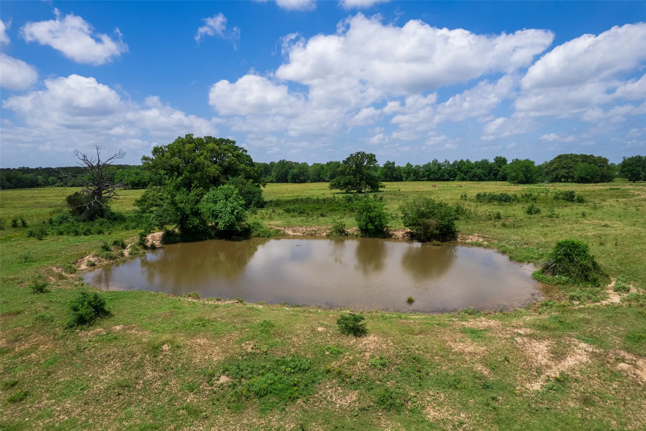 Unimproved Land For Sale in Franklin (TX) County , TBD W Farm Rd 71, Talco, Texas 75487, 0, 0, Garage spaces, 0 Sqft, built in 0, mls#21297720, Real Estate Agent in Talco, Homes For Sale in Franklin (TX) county, Homes For Sale in Talco, Realtor in Talco Texas, Real Estate Brokerage Independent Realty Texas, Luminita Cordes Realtor