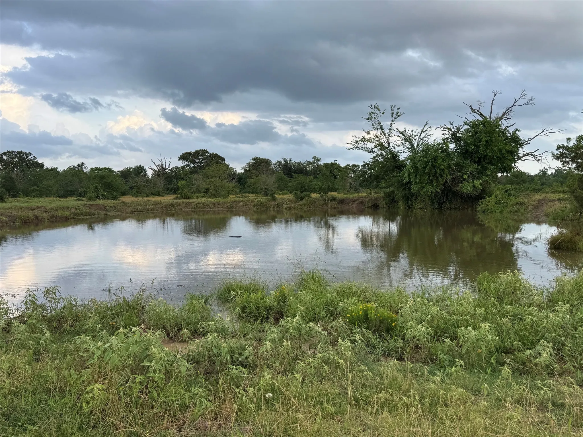 Unimproved Land For Sale in Franklin (TX) County , TBD W Farm Rd 71, Talco, Texas 75487, 0, 0, Garage spaces, 0 Sqft, built in 0, mls#21297720, Real Estate Agent in Talco, Homes For Sale in Franklin (TX) county, Homes For Sale in Talco, Realtor in Talco Texas, Real Estate Brokerage Independent Realty Texas, Luminita Cordes Realtor