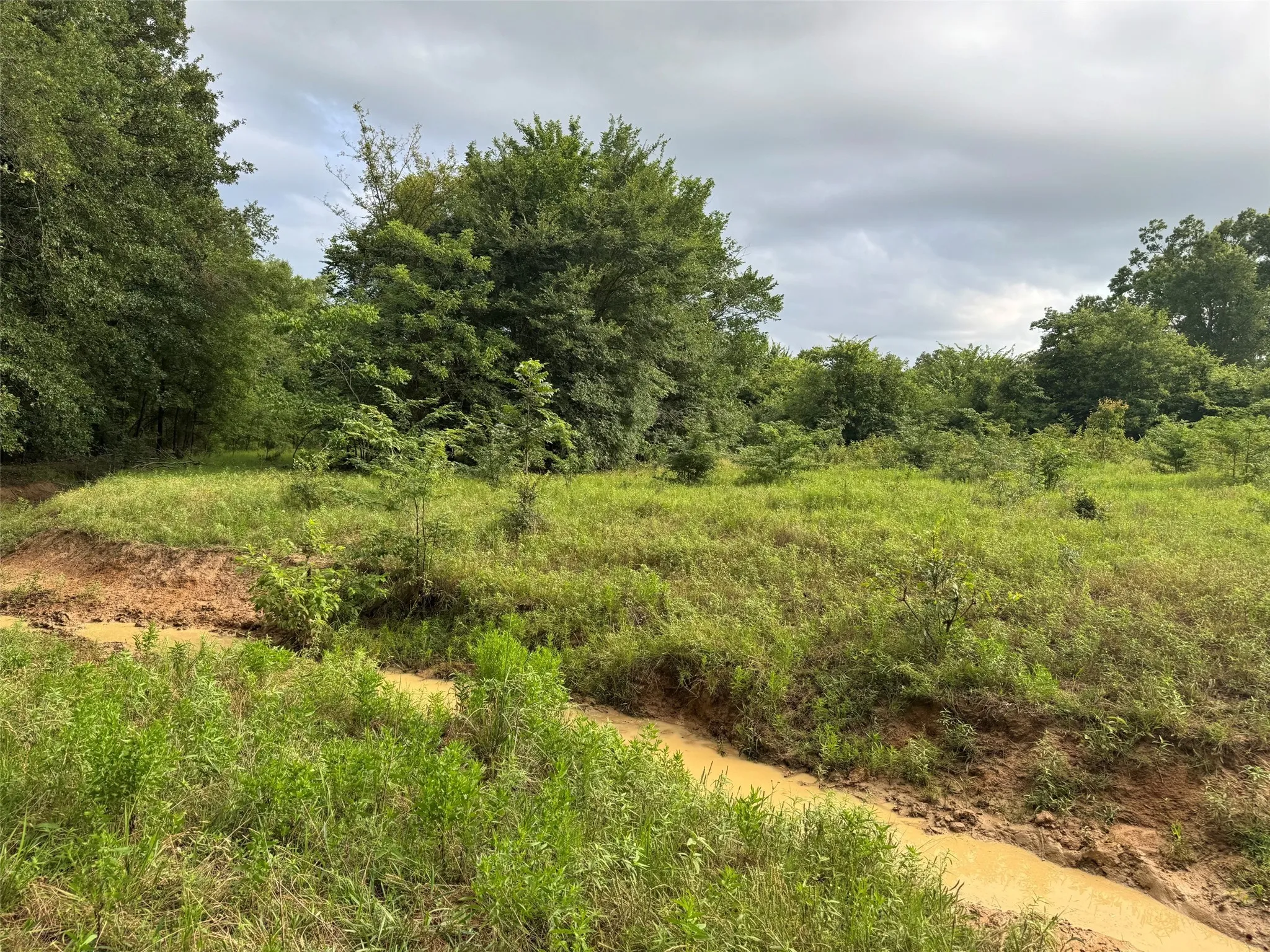 Unimproved Land For Sale in Franklin (TX) County , TBD W Farm Rd 71, Talco, Texas 75487, 0, 0, Garage spaces, 0 Sqft, built in 0, mls#21297720, Real Estate Agent in Talco, Homes For Sale in Franklin (TX) county, Homes For Sale in Talco, Realtor in Talco Texas, Real Estate Brokerage Independent Realty Texas, Luminita Cordes Realtor