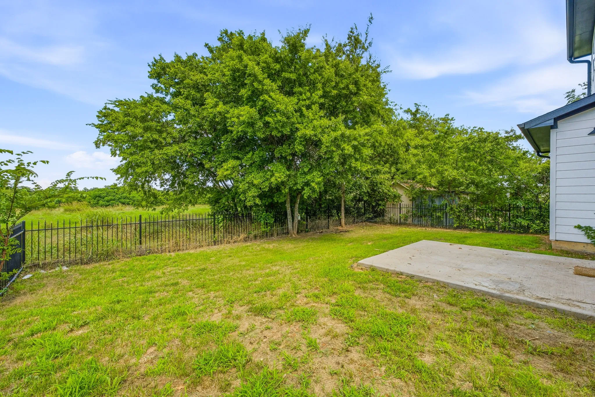 Expansive backyard featuring a large tree, green lawn, concrete patio, and black metal fencing