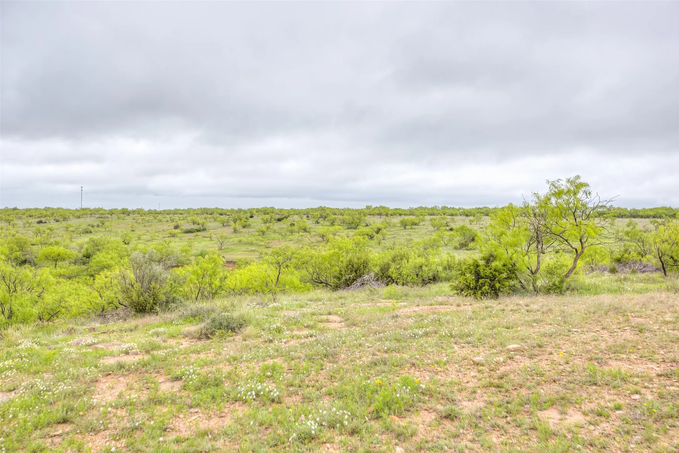 Ranch For Sale in Callahan County , N/A HWY 36, Baird, Texas 79504, 0, 0, Garage spaces, 0 Sqft, built in 0, mls#21298792, Real Estate Agent in Baird, Homes For Sale in Callahan county, Homes For Sale in Baird, Realtor in Baird Texas, Real Estate Brokerage Independent Realty Texas, Luminita Cordes Realtor