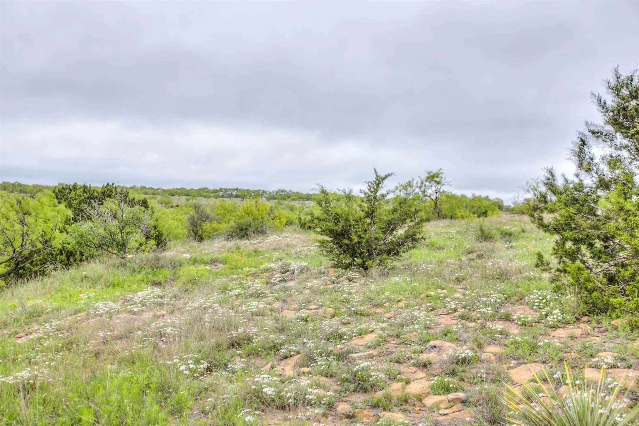 Ranch For Sale in Callahan County , N/A HWY 36, Baird, Texas 79504, 0, 0, Garage spaces, 0 Sqft, built in 0, mls#21298792, Real Estate Agent in Baird, Homes For Sale in Callahan county, Homes For Sale in Baird, Realtor in Baird Texas, Real Estate Brokerage Independent Realty Texas, Luminita Cordes Realtor