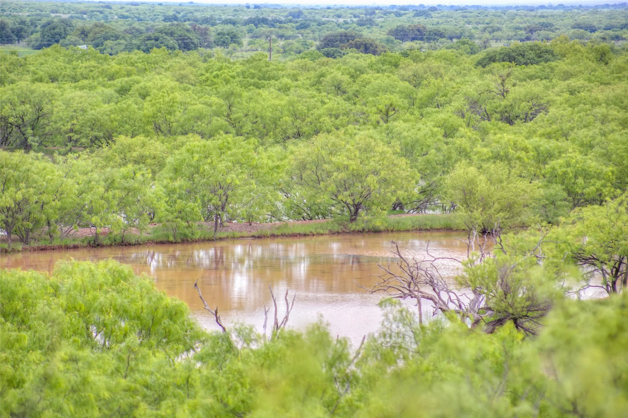 Ranch For Sale in Callahan County , N/A HWY 36, Baird, Texas 79504, 0, 0, Garage spaces, 0 Sqft, built in 0, mls#21298792, Real Estate Agent in Baird, Homes For Sale in Callahan county, Homes For Sale in Baird, Realtor in Baird Texas, Real Estate Brokerage Independent Realty Texas, Luminita Cordes Realtor