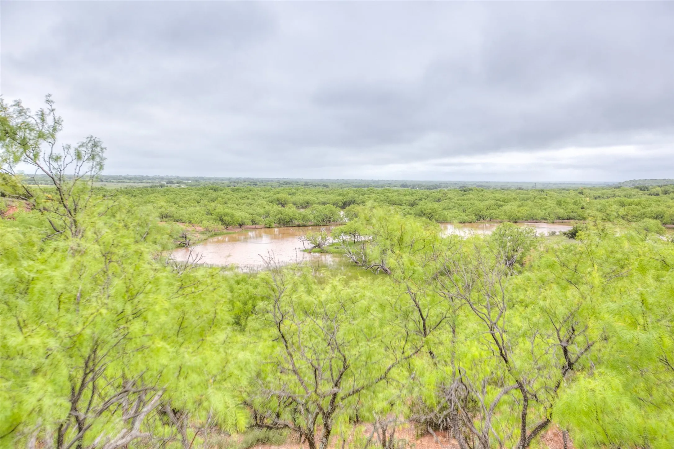 Ranch For Sale in Callahan County , N/A HWY 36, Baird, Texas 79504, 0, 0, Garage spaces, 0 Sqft, built in 0, mls#21298792, Real Estate Agent in Baird, Homes For Sale in Callahan county, Homes For Sale in Baird, Realtor in Baird Texas, Real Estate Brokerage Independent Realty Texas, Luminita Cordes Realtor