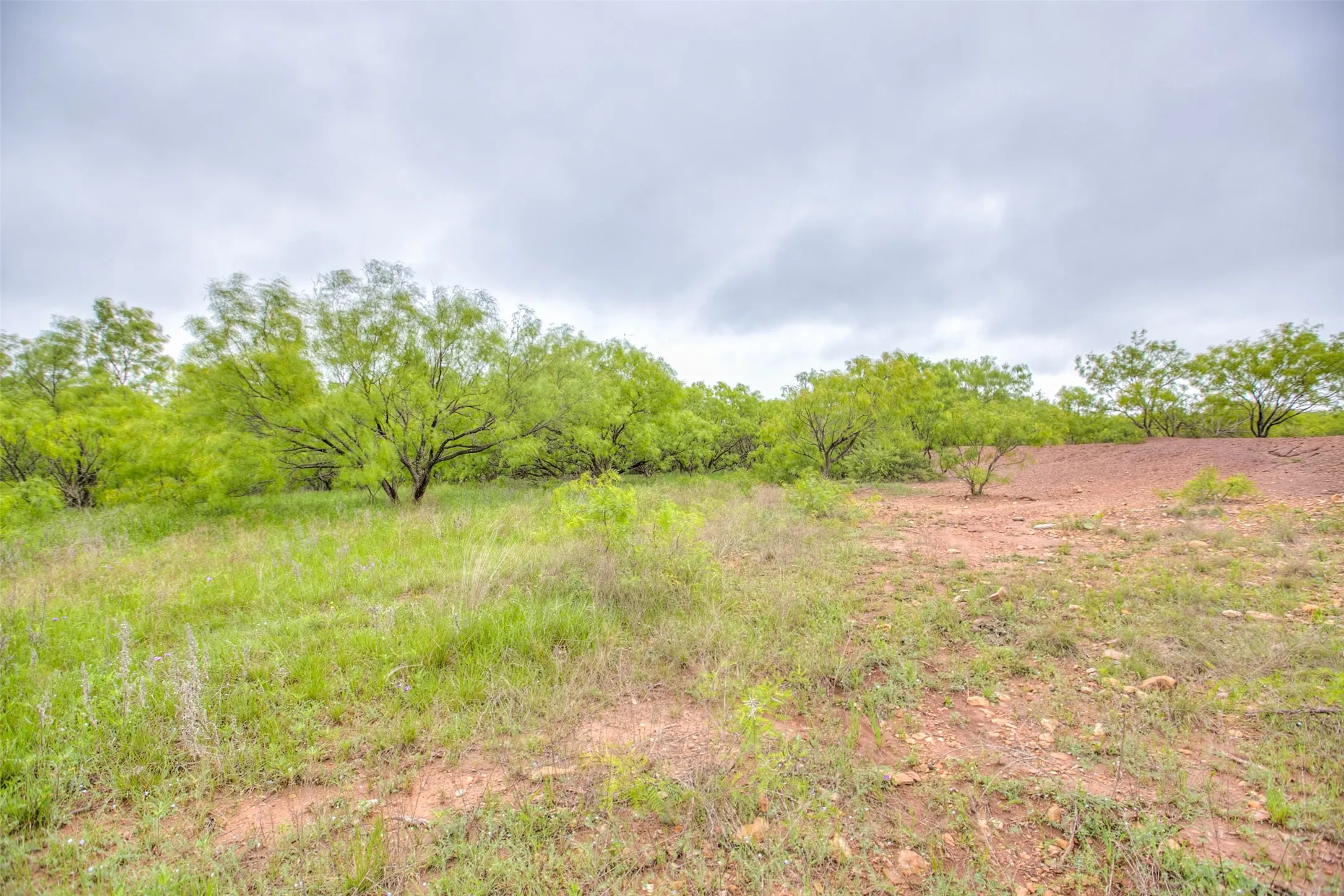 Ranch For Sale in Callahan County , N/A HWY 36, Baird, Texas 79504, 0, 0, Garage spaces, 0 Sqft, built in 0, mls#21298792, Real Estate Agent in Baird, Homes For Sale in Callahan county, Homes For Sale in Baird, Realtor in Baird Texas, Real Estate Brokerage Independent Realty Texas, Luminita Cordes Realtor